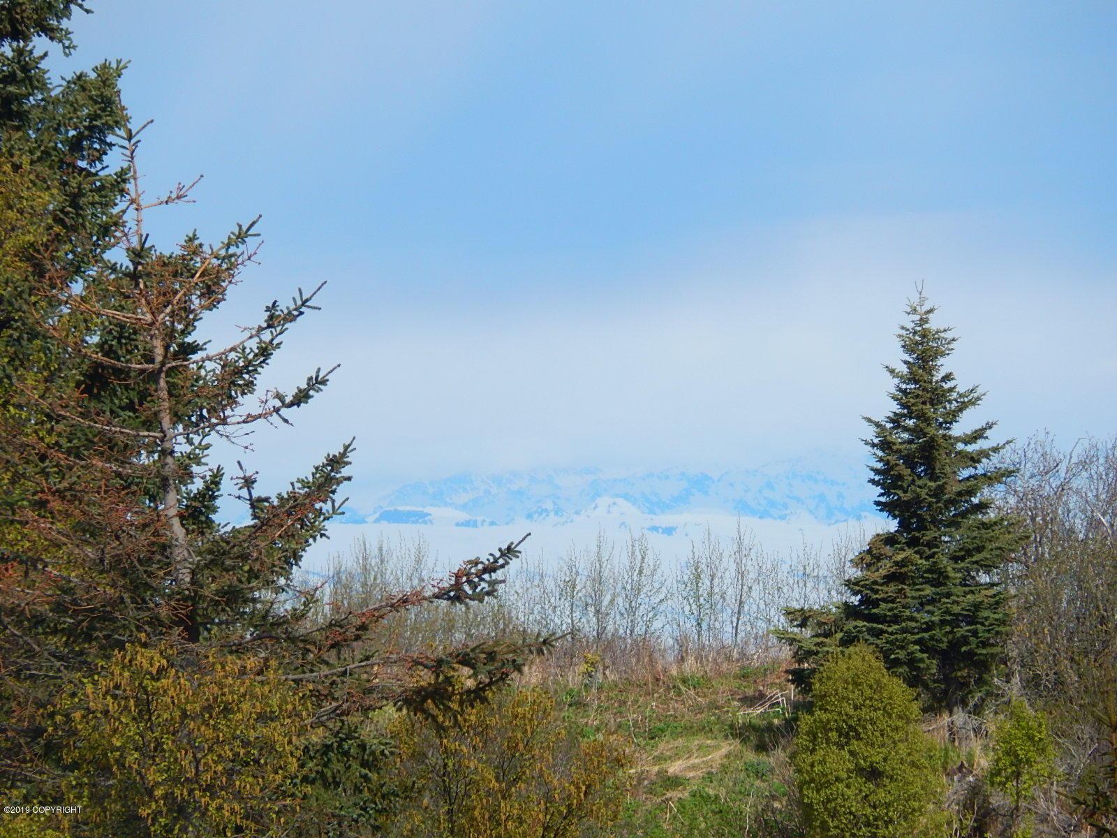 17286 Hyila Lane, Ninilchik AK 99639