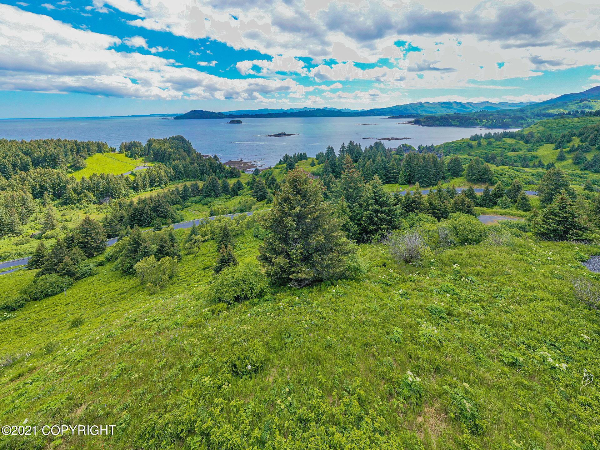5979 Cliff Point Road, Kodiak AK 99615