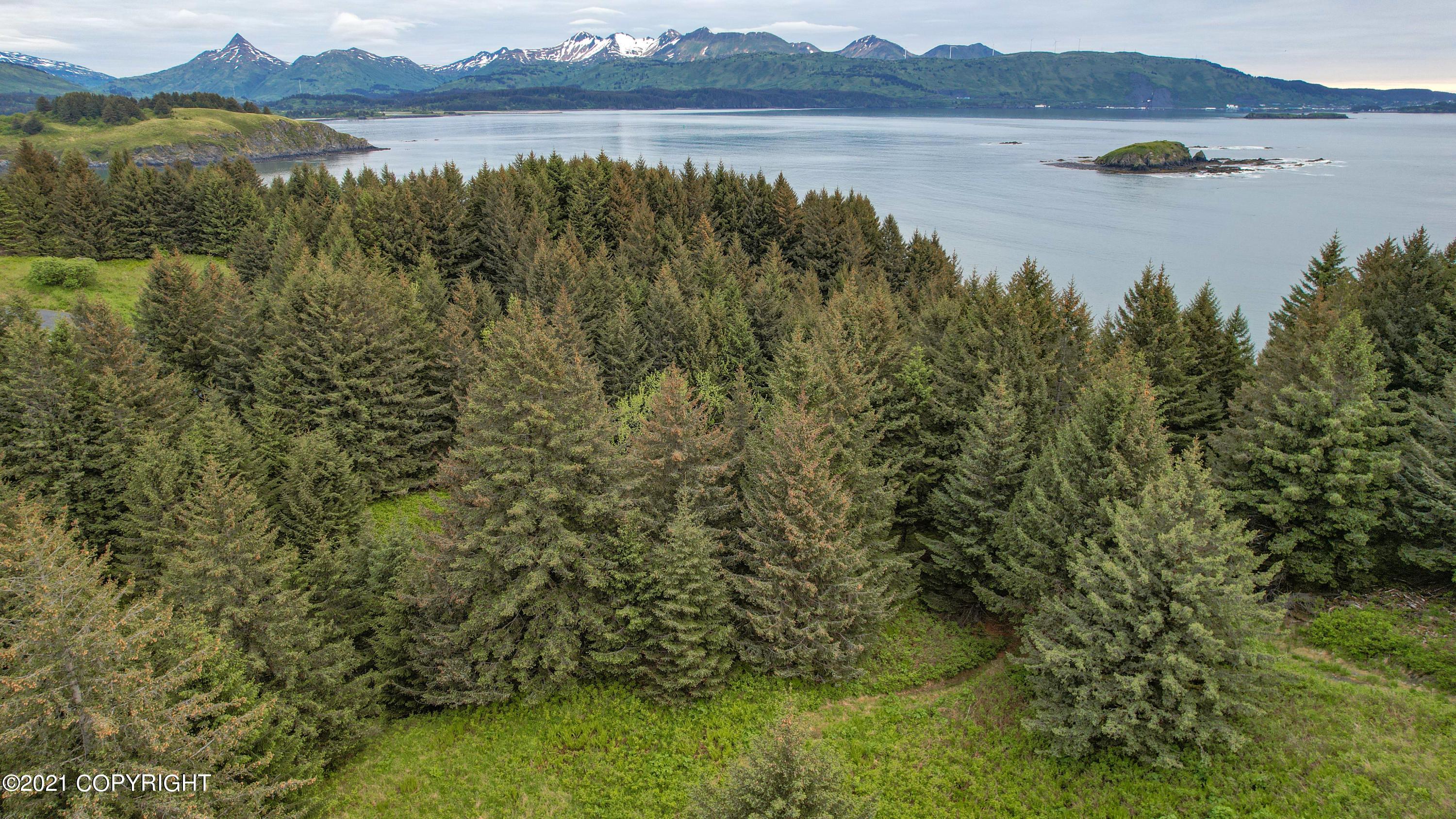 6266 Cliff Point Road, Kodiak AK 99615