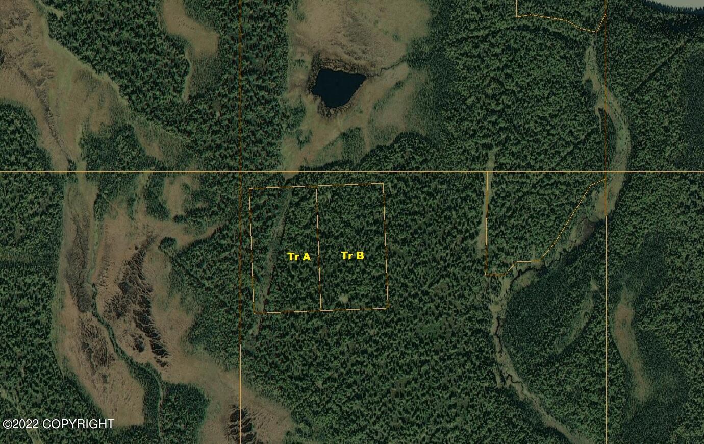 Tr A&B Lake Creek (No Road), Trapper Creek AK 99683