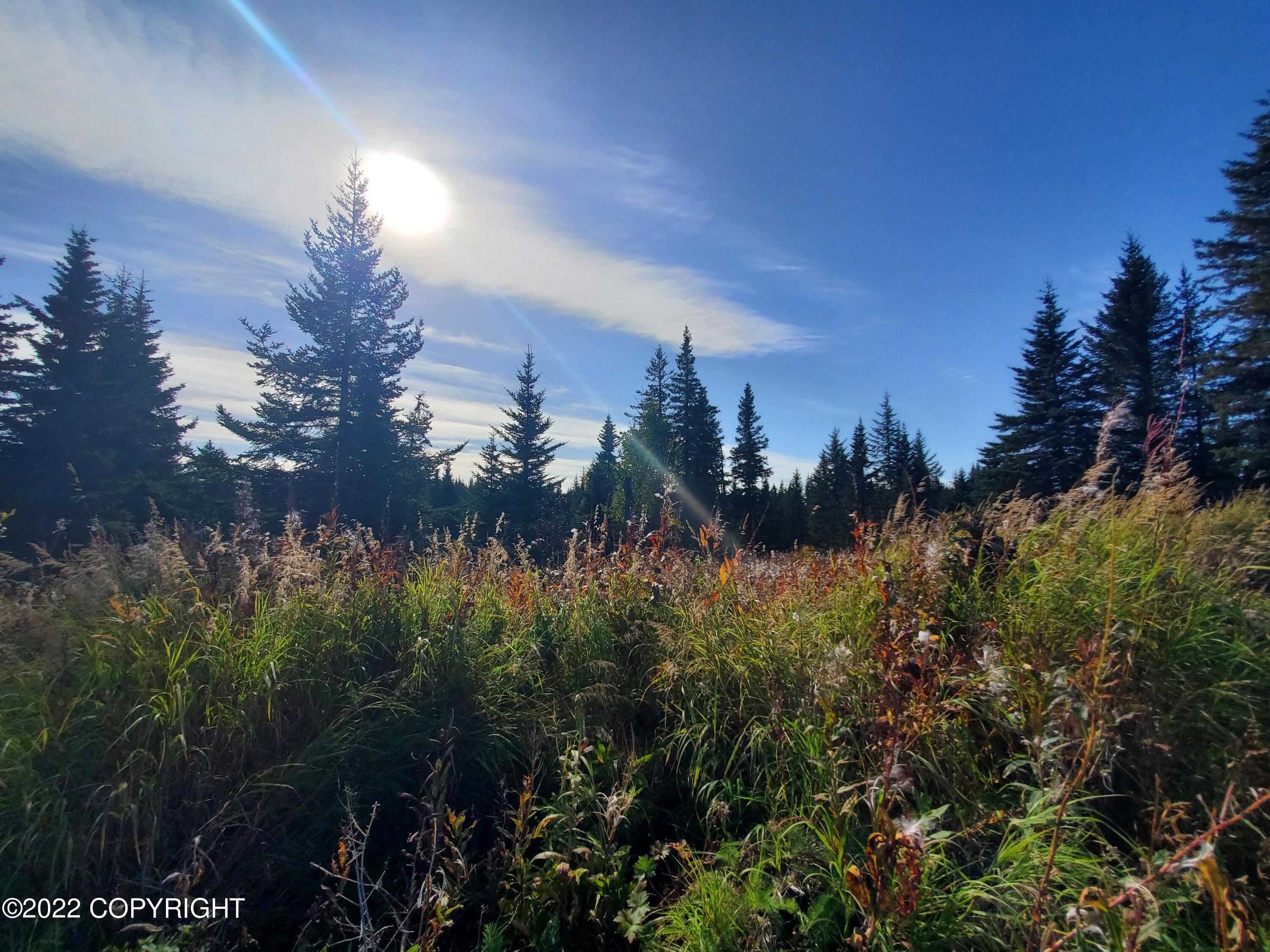 67695 Shavila Road, Ninilchik AK 99639