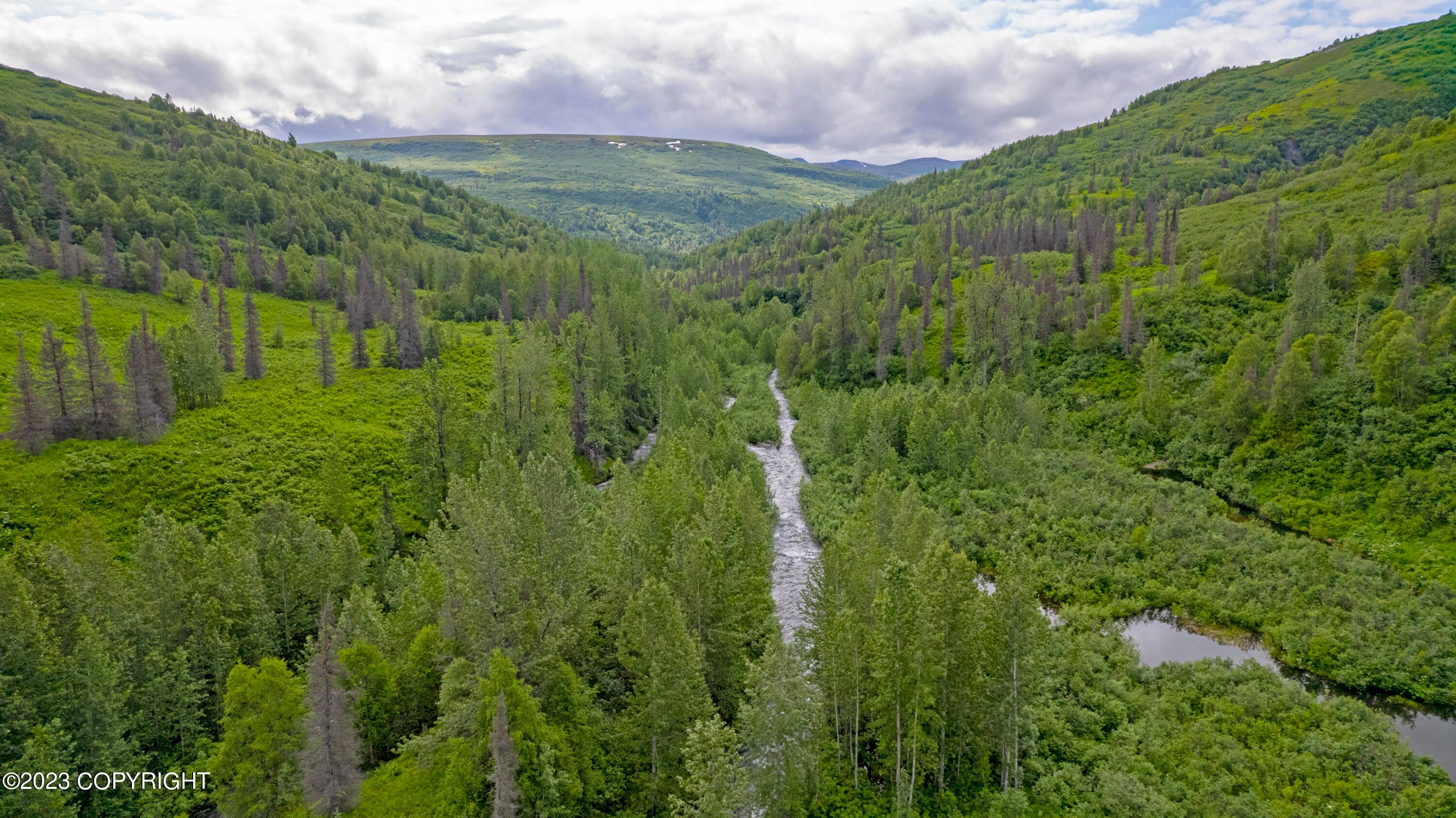 000 Mcwilliams - Gold Creek Trail, Talkeetna AK 99676