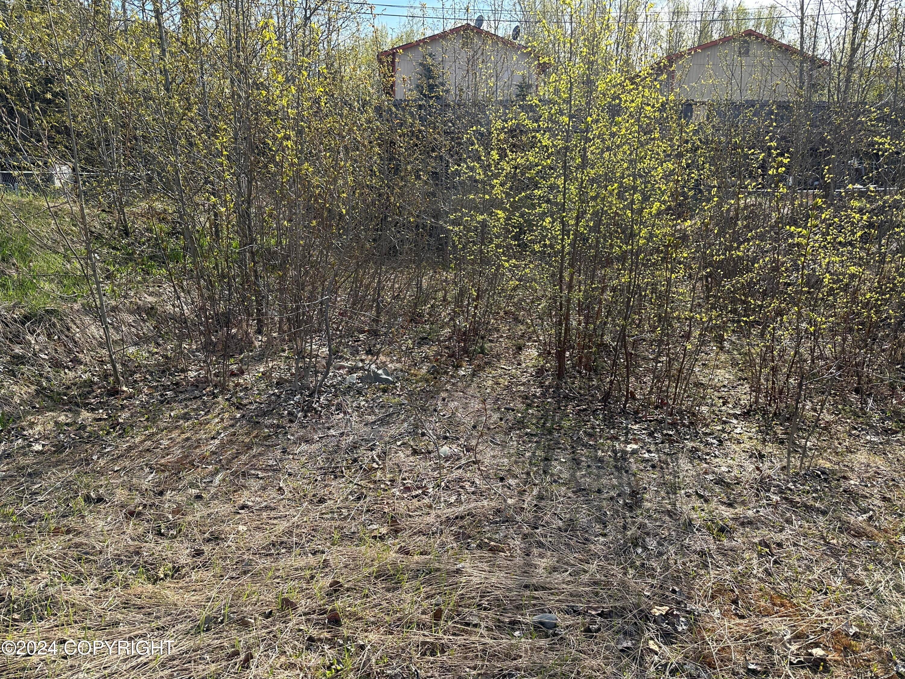 115 Grand Larry Street, Anchorage AK 99504
