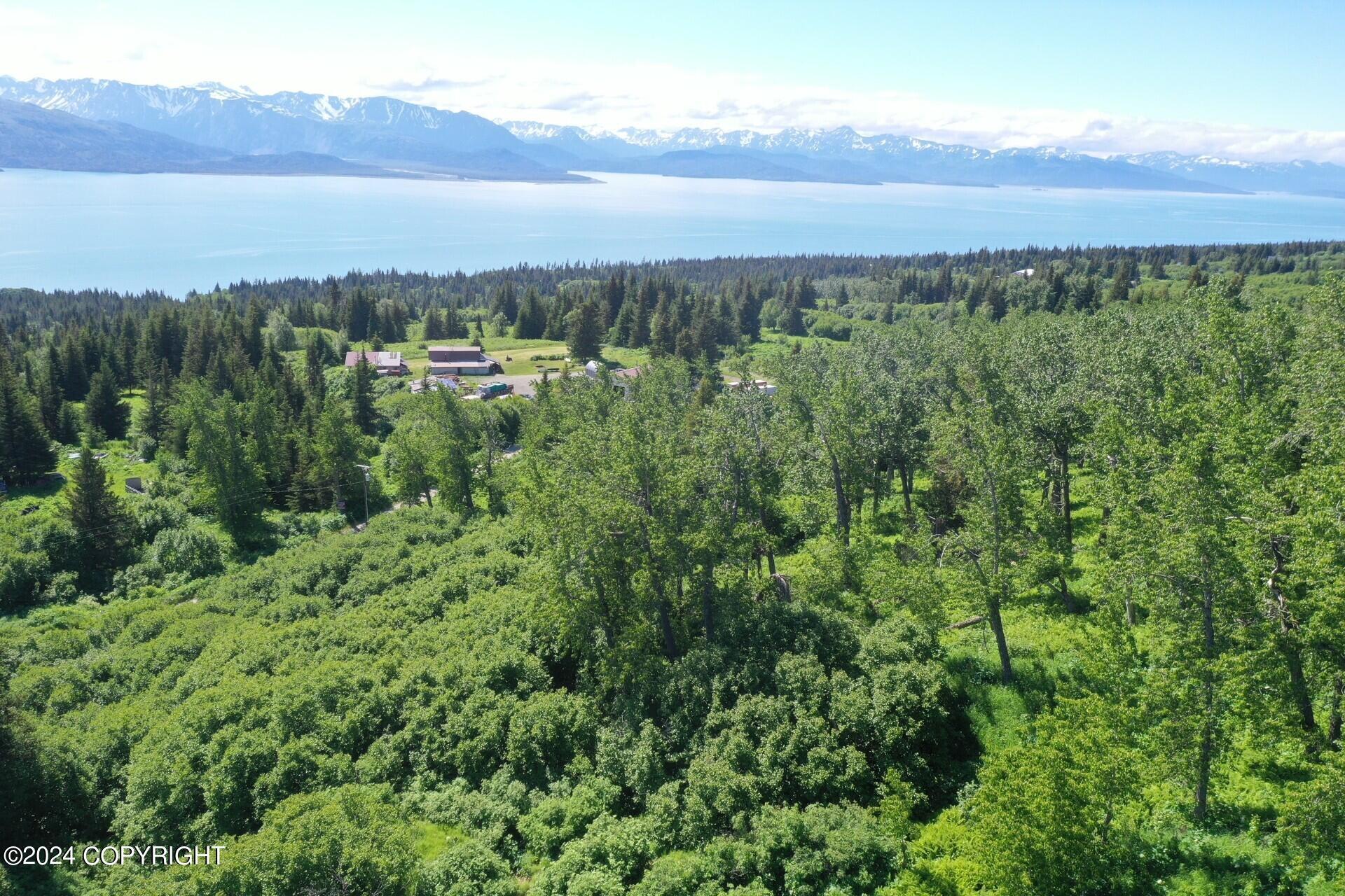 35887 Cloverdale Circle, Homer AK 99603