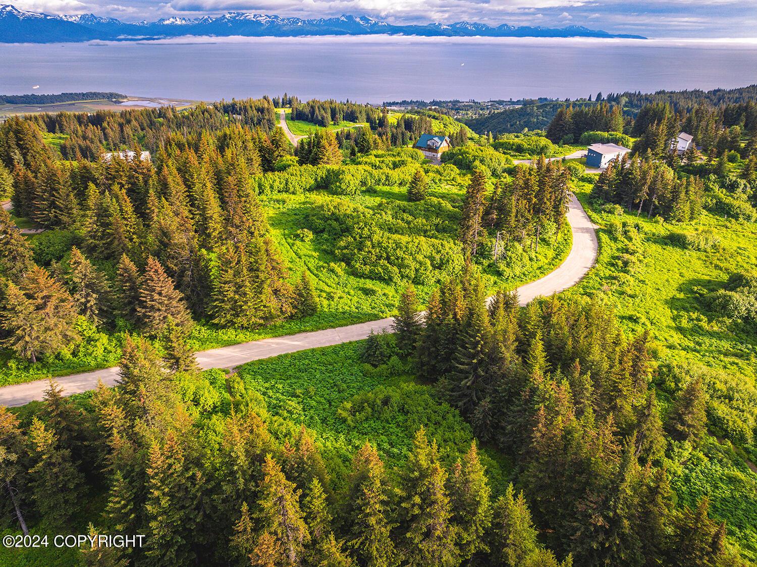228 Tulin Terrace Boulevard, Homer AK 99603