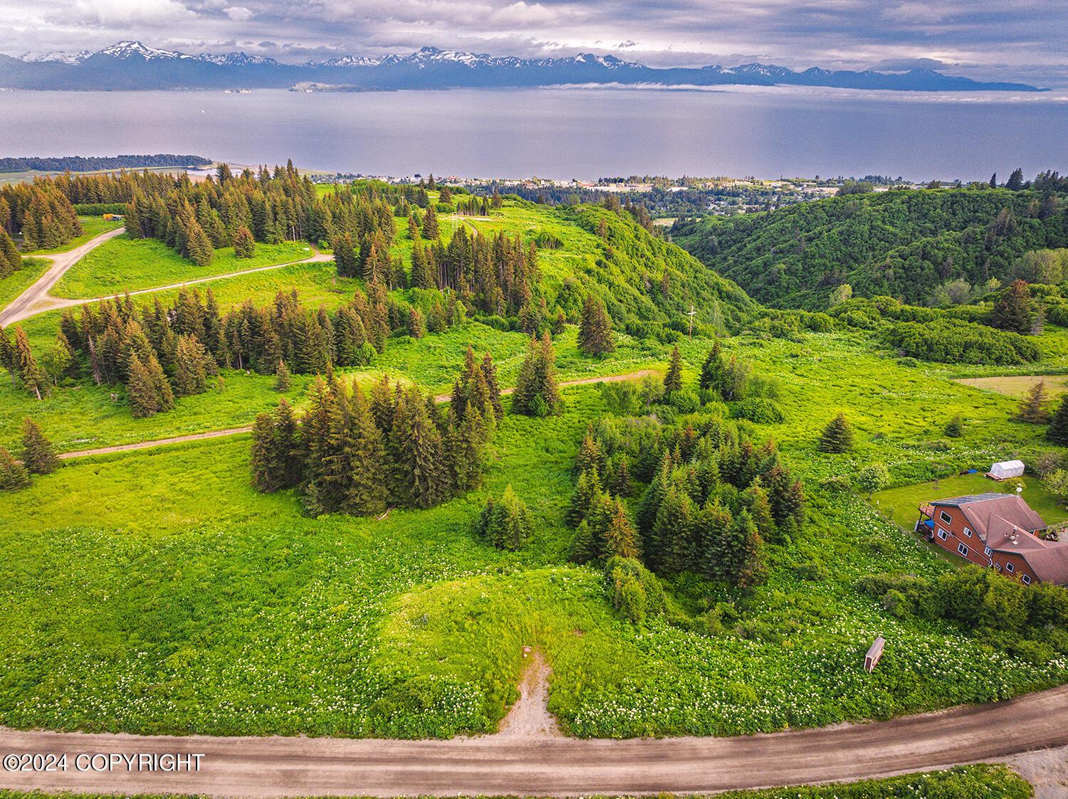 195 Whispering Meadows Avenue, Homer AK 99603