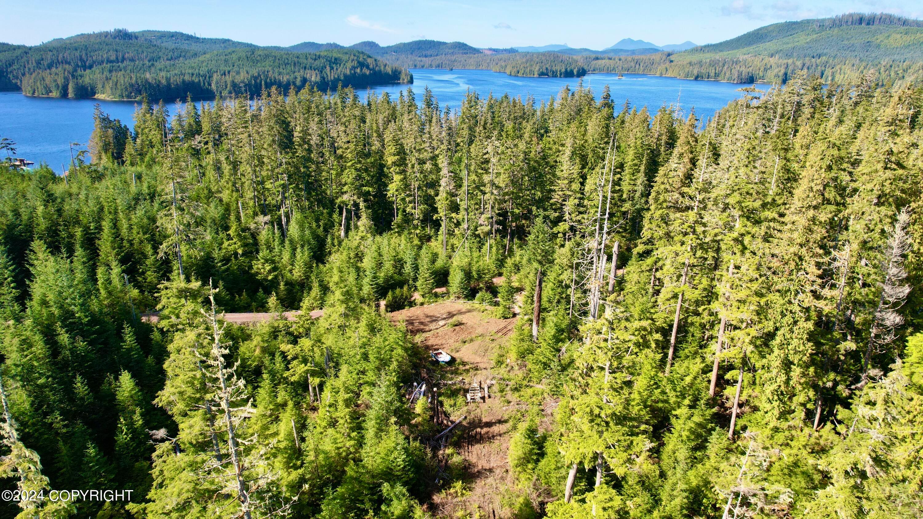 L5B4 Gutchi Cove, Naukati Bay AK 99000
