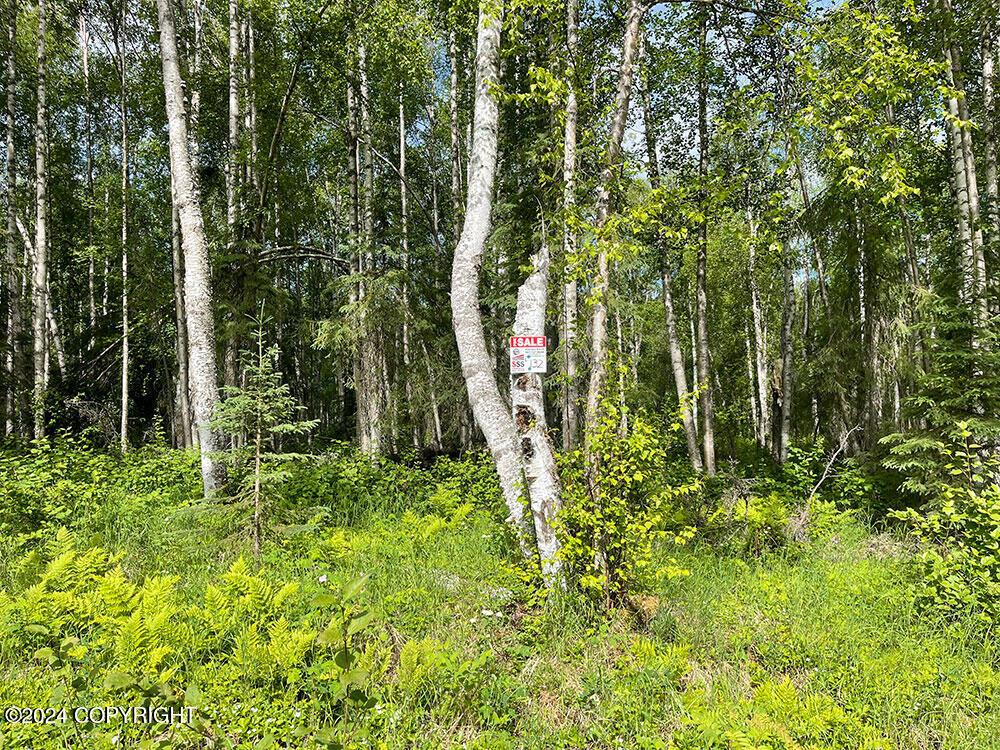 48484 S Grizzly Bear Circle, Willow AK 99688