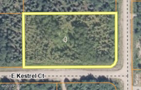 15049 E Kestrel Court, Willow AK 99688
