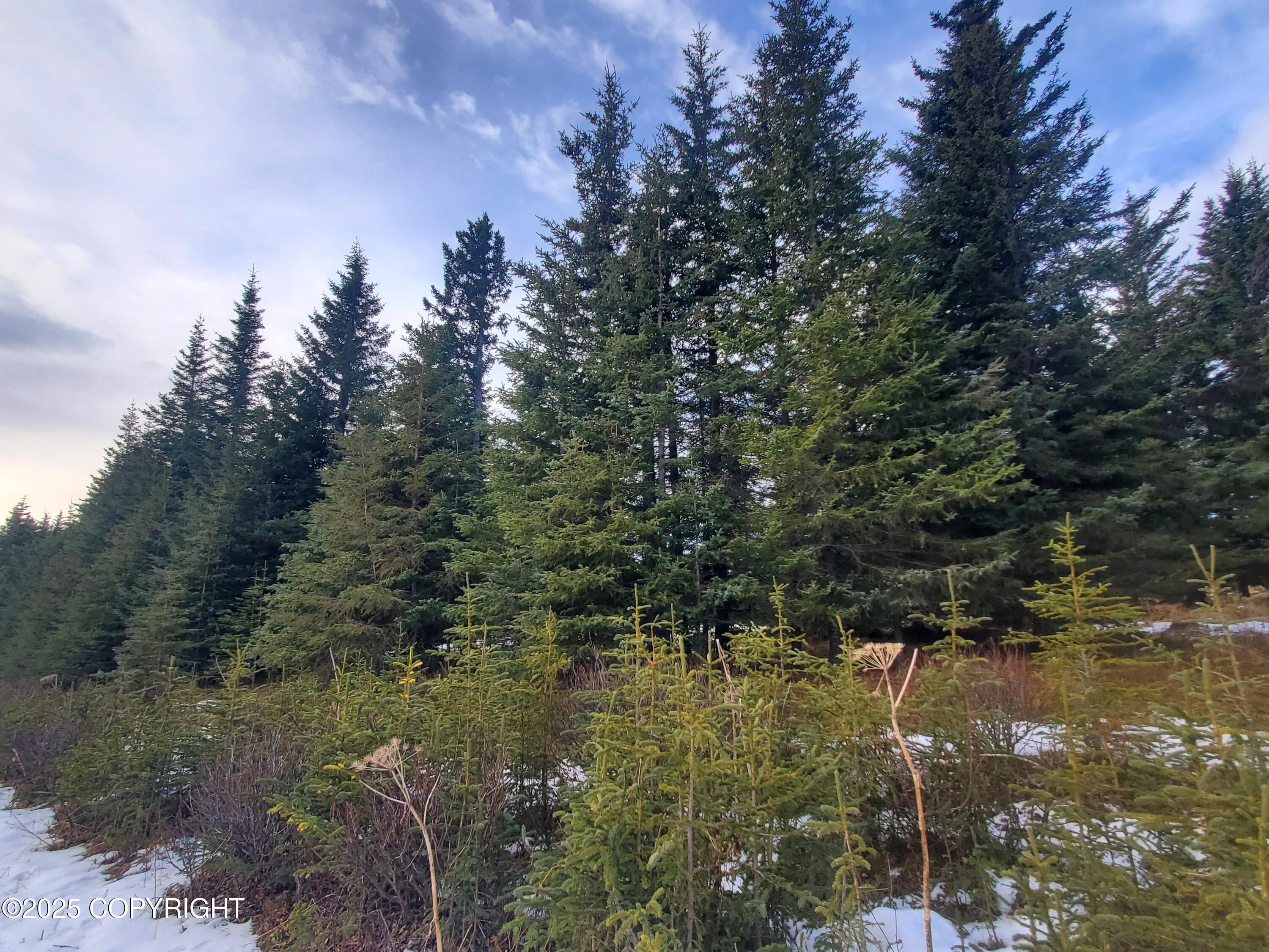 17491 Kimeluk Street, Ninilchik AK 99639