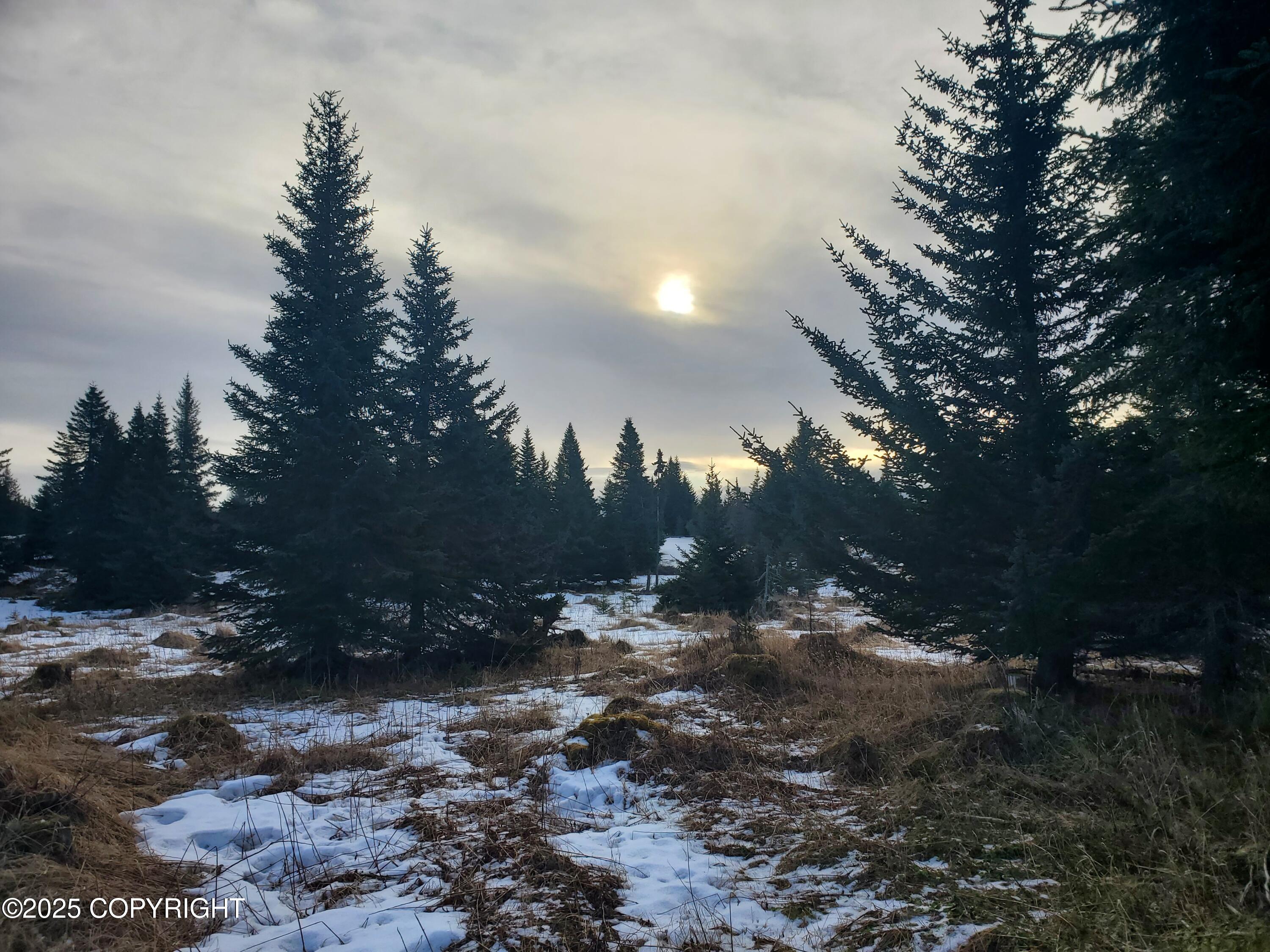 67609 Shavila Road, Ninilchik AK 99639