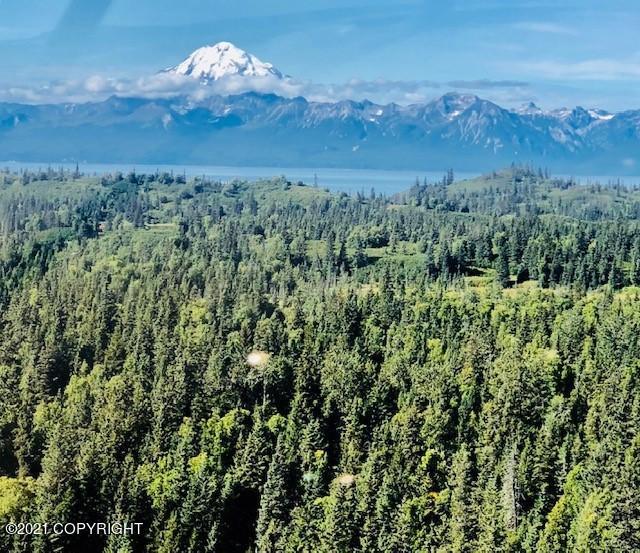 L22 Kalgin Island Estates, Remote AK 99000