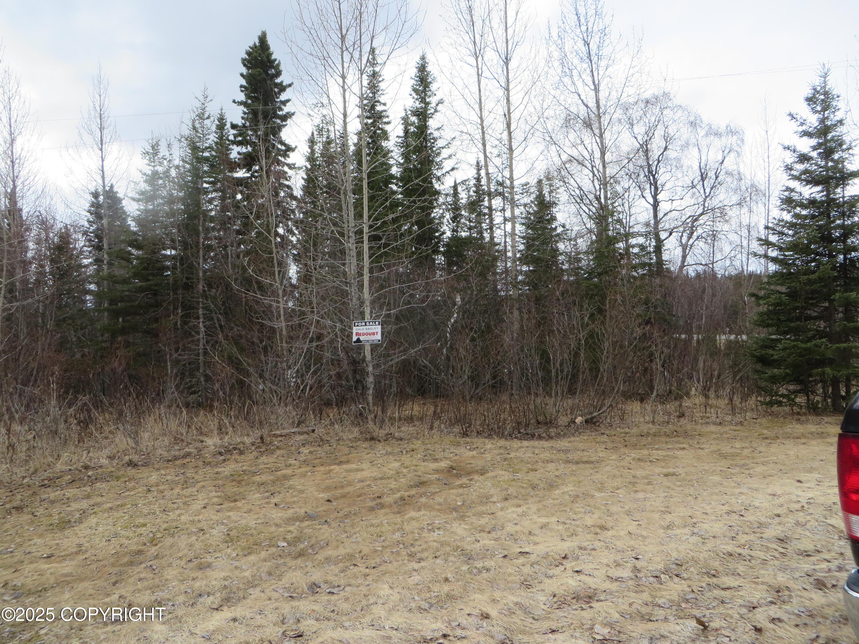 24839 Decanter Circle, Kasilof AK 99610