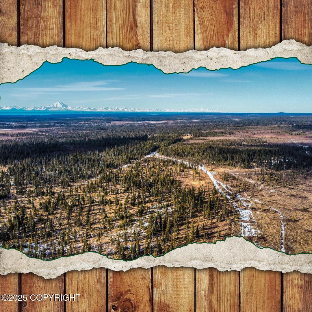 33790 Handcart Road, Anchor Point AK 99556
