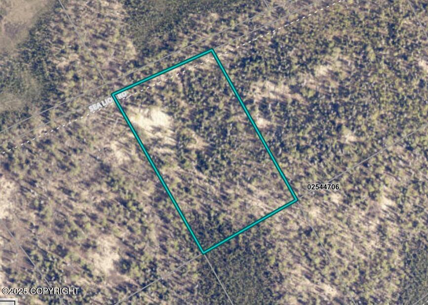 L262 Sea Lion Road, Remote AK 99635