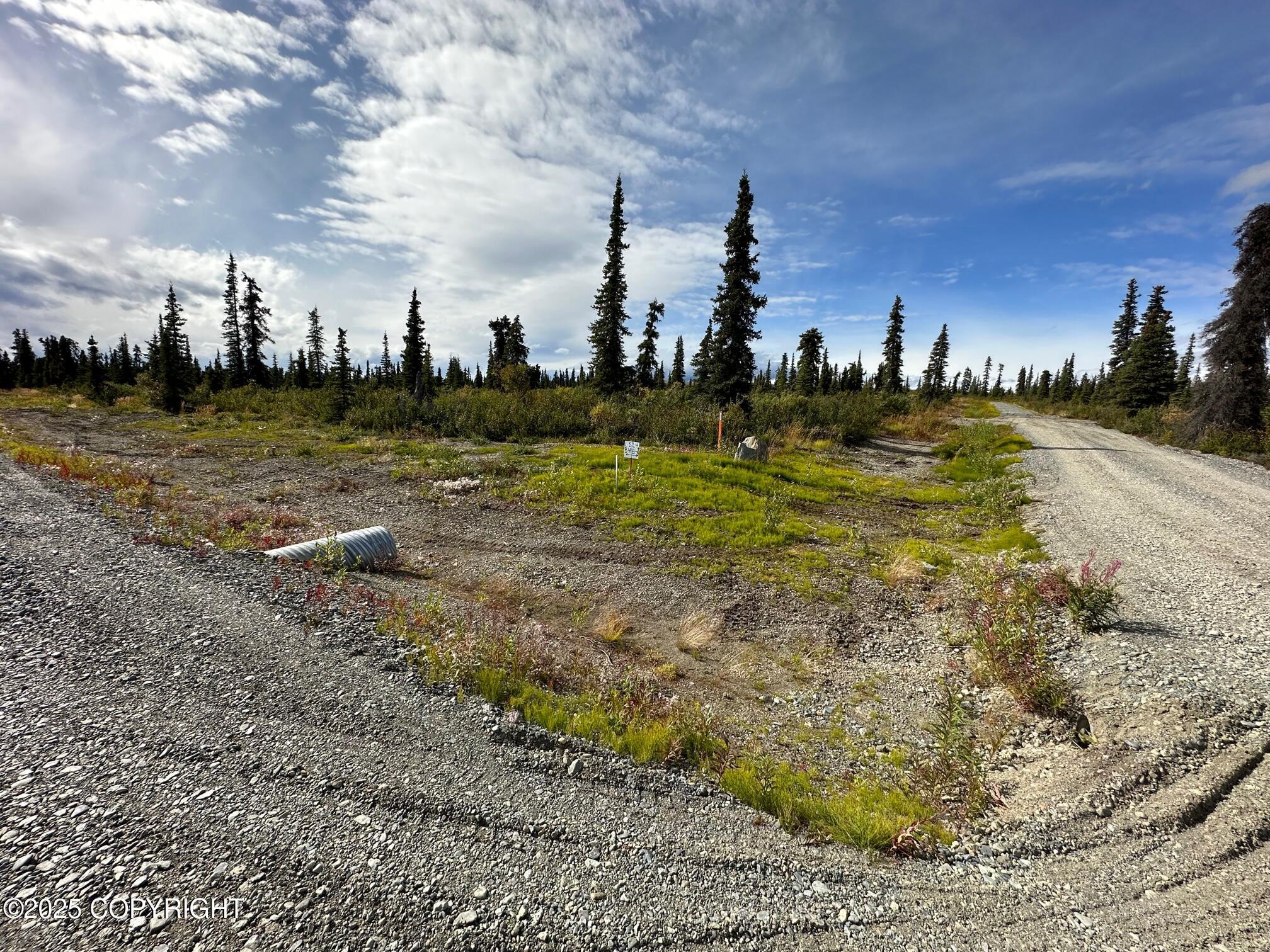 49486 S Timberwolf Road, Chickaloon AK 99674
