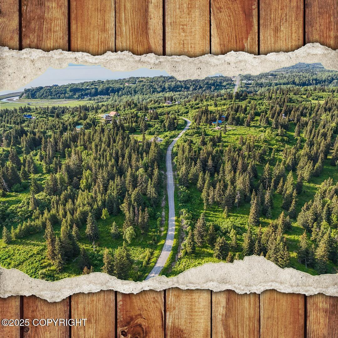 17515 Arcturus Loop, Ninilchik AK 99639