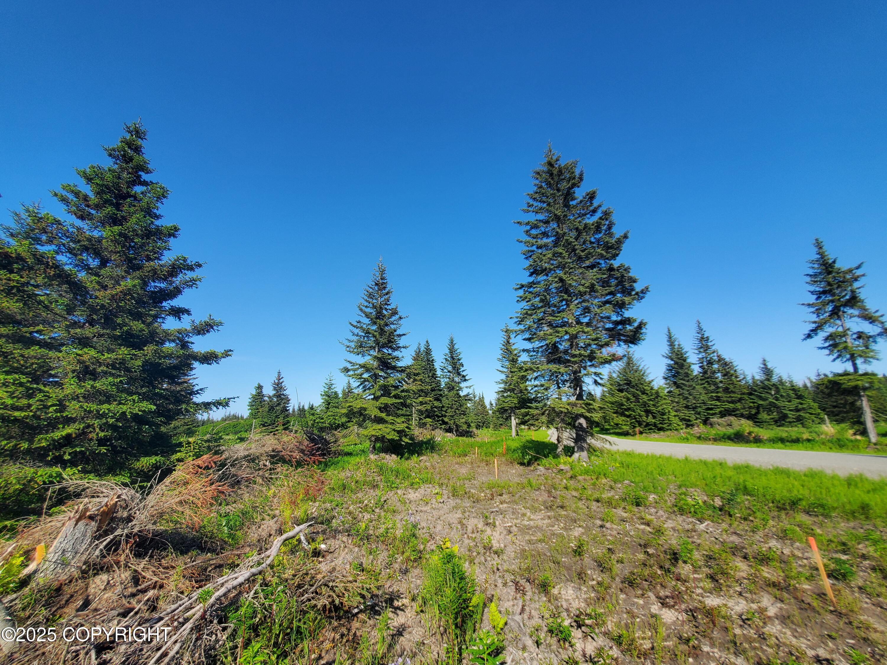 17573 Chefornak Street, Ninilchik AK 99556