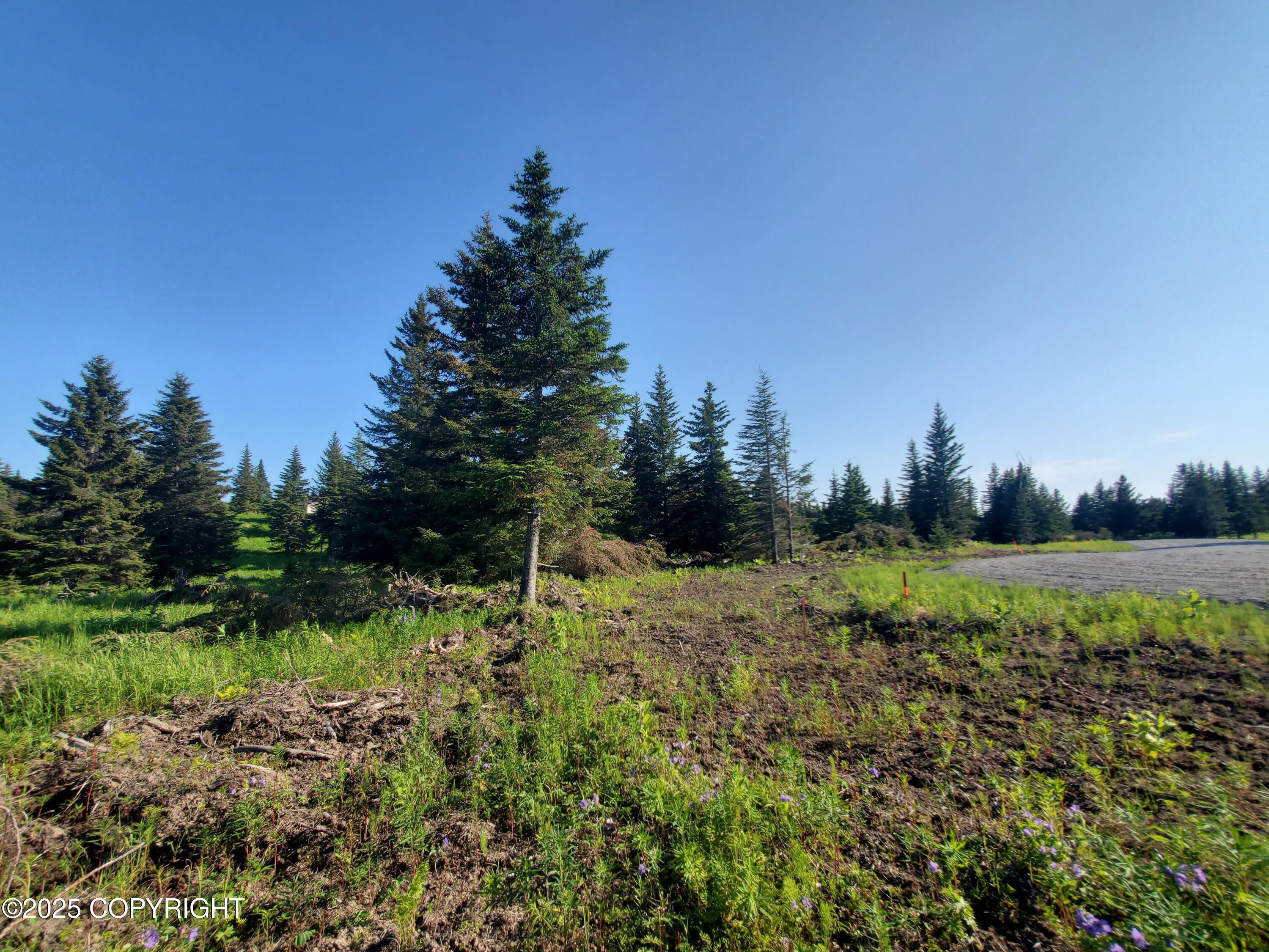 17436 Chefornak Street, Ninilchik AK 99639
