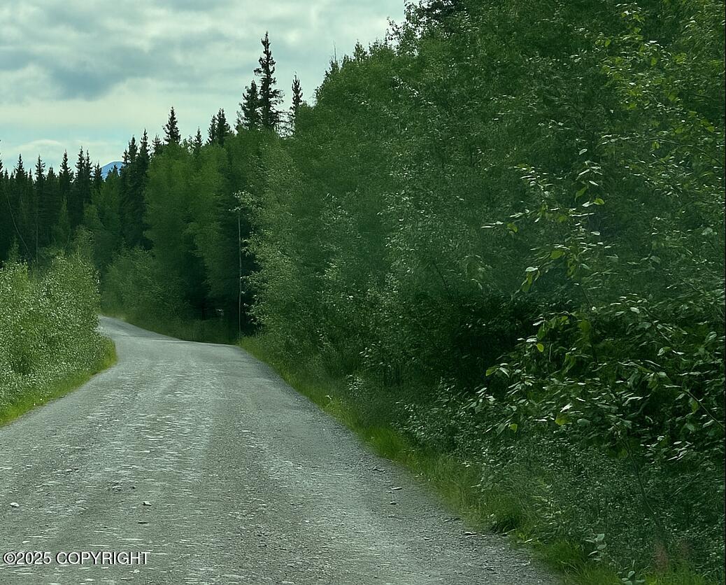 Lot 21 Dixon Drive, Copper Center AK 99573