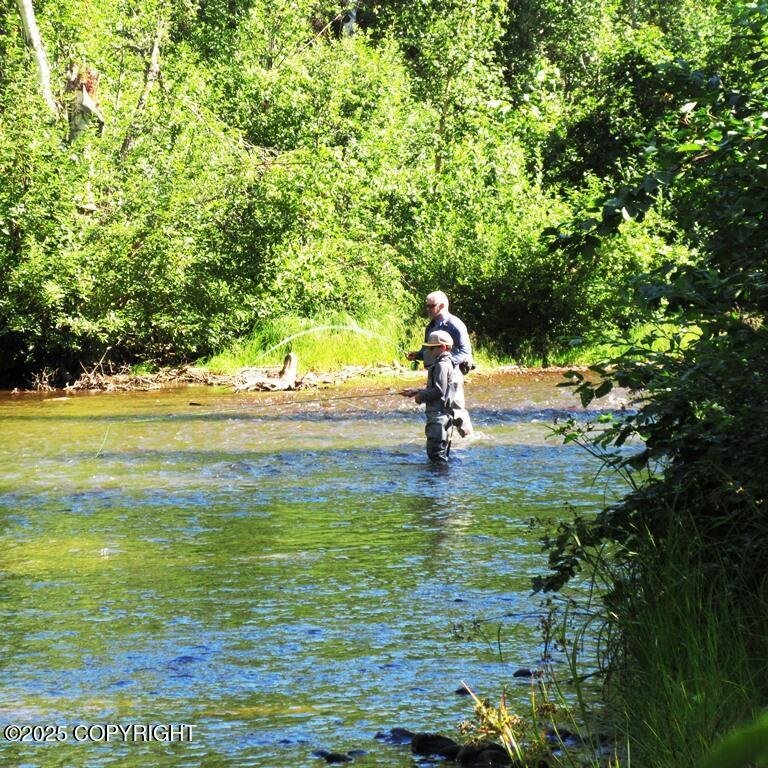 Tr D Mile 93 Parks Highway, Talkeetna AK 99676