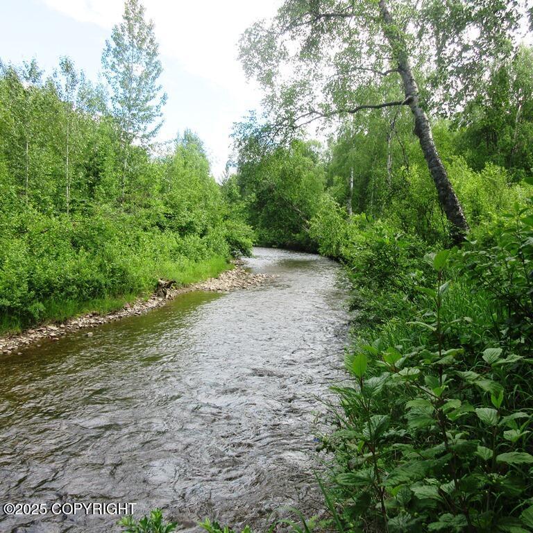 Tr G W Parks Highway, Talkeetna AK 99676