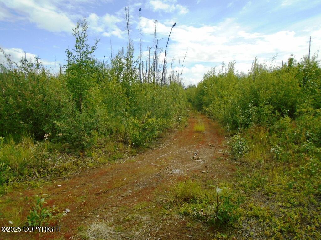 Mile 72 Parks Highway, Willow AK 99688