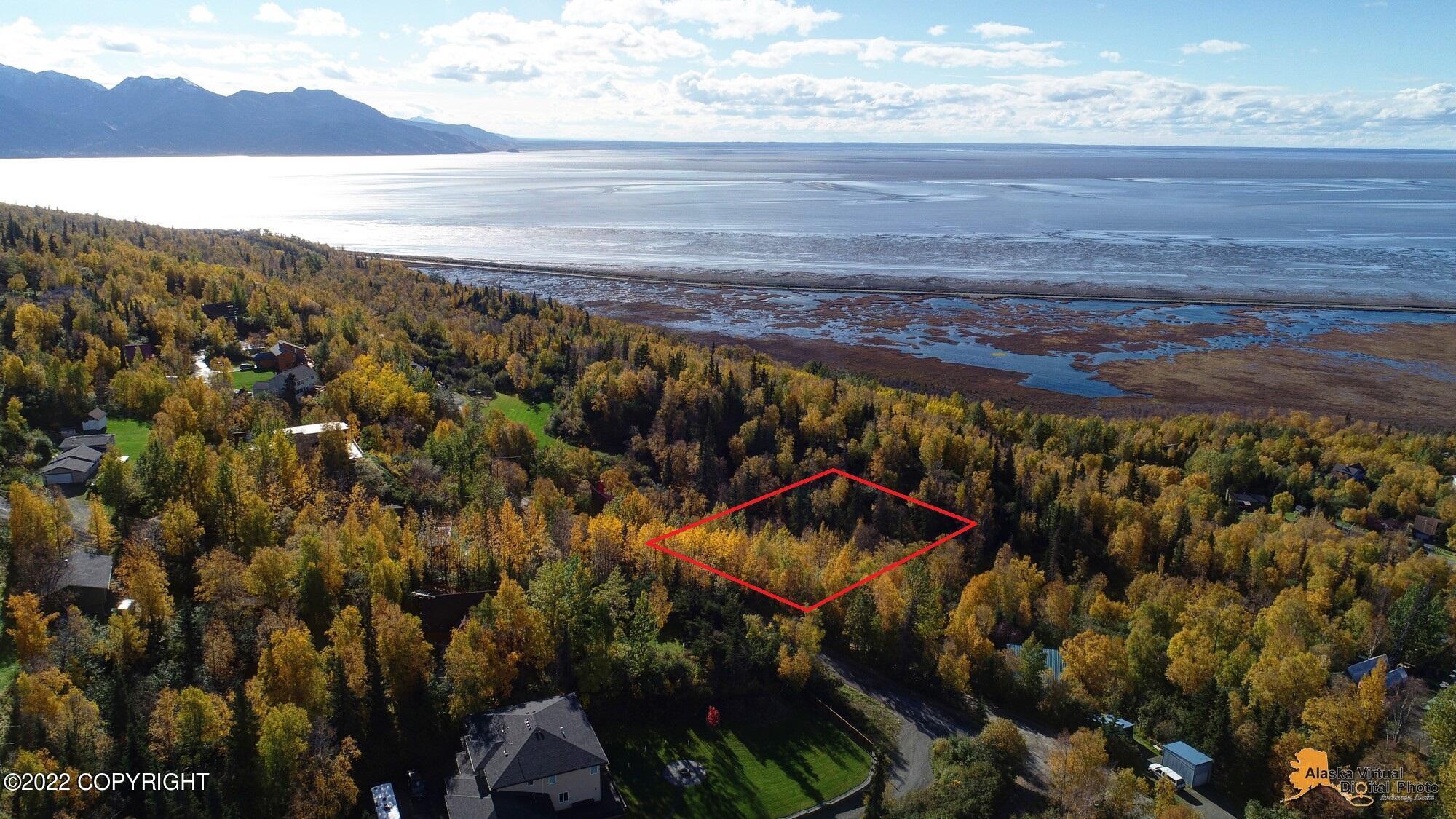 L9 Feodosia Drive, Anchorage AK 99516