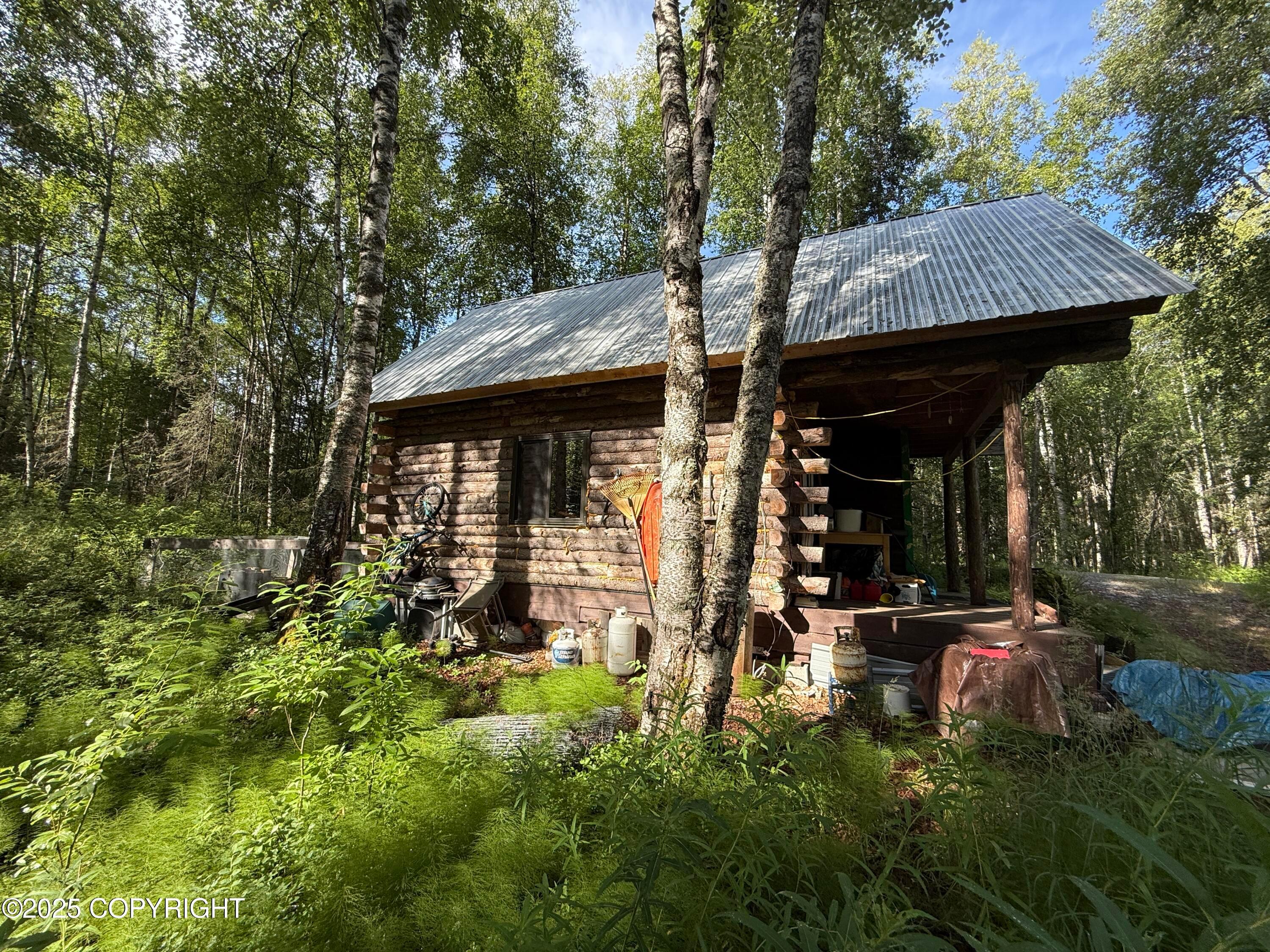 17146 E Dowd Circle, Talkeetna AK 99676