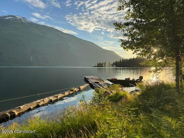 USS 3625 Lot 5 Portion Chilkat Lake, Haines AK 99827