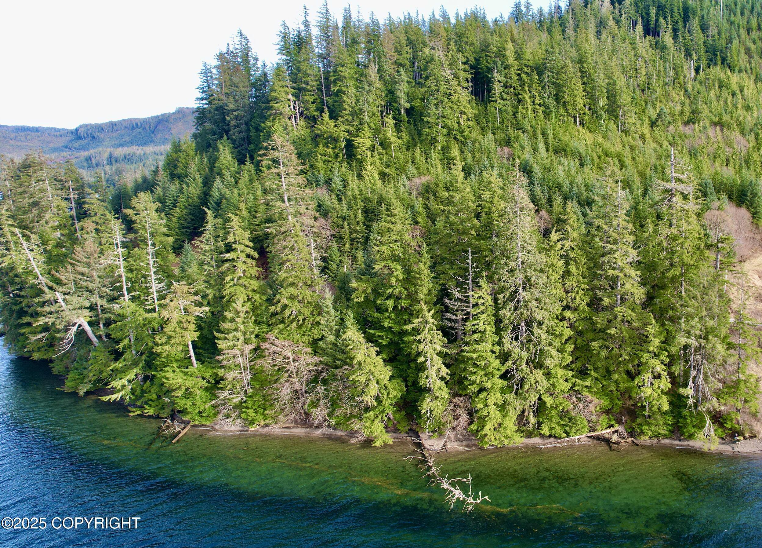 9.2 Mile Port Saint Nicholas Rd, Craig AK 99921