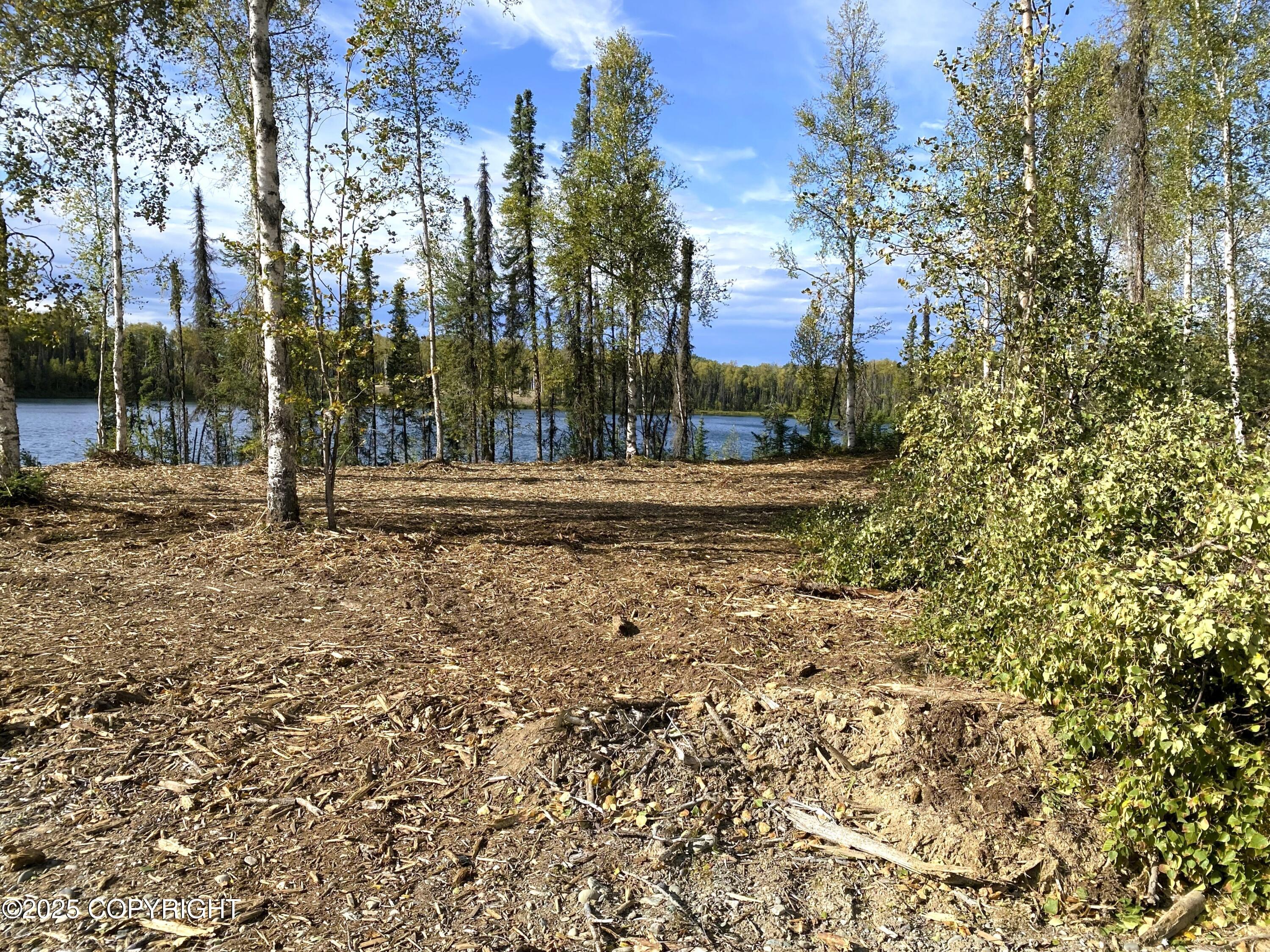 19531 E Good Land Drive, Willow AK 99688