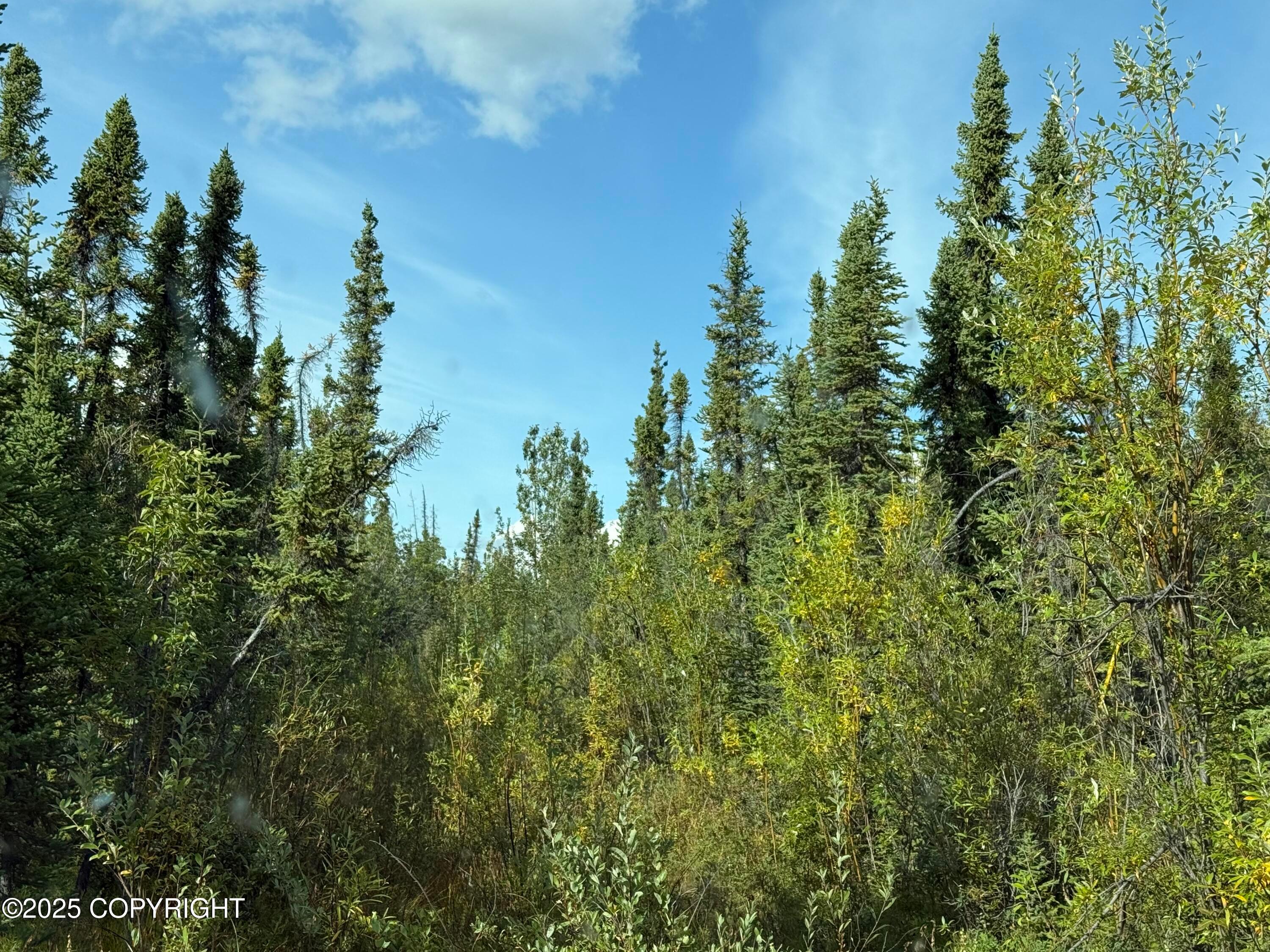 Mile 188.2 Glenn Highway, Glennallen AK 99588