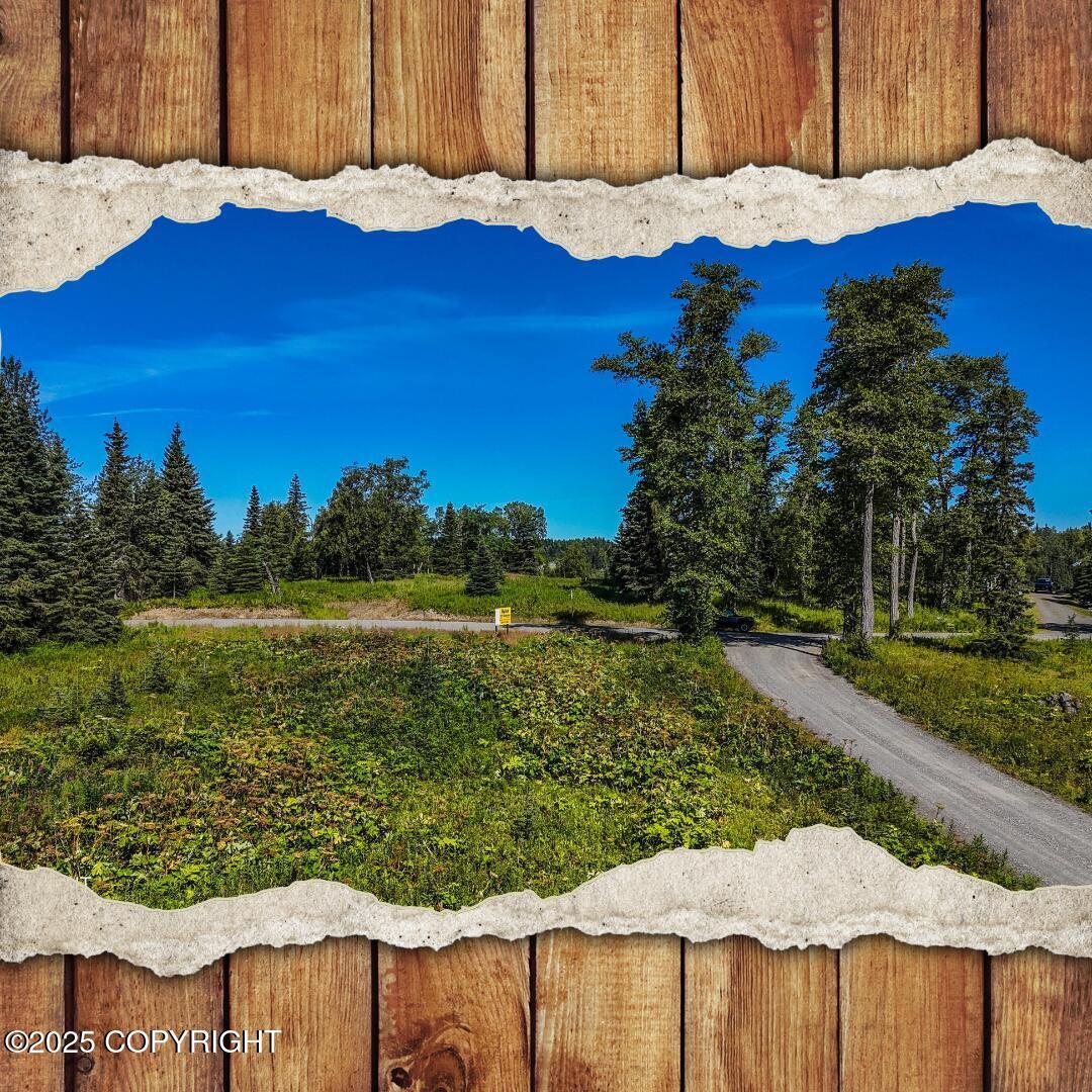 15515 Tovarish Road, Ninilchik AK 99639