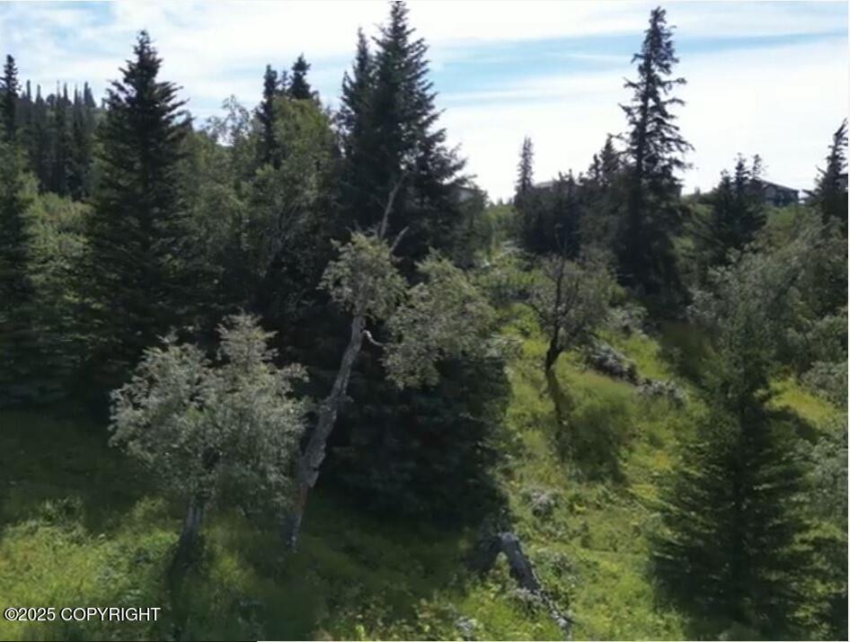 L6 Panoramic Circle, Anchorage AK 99516