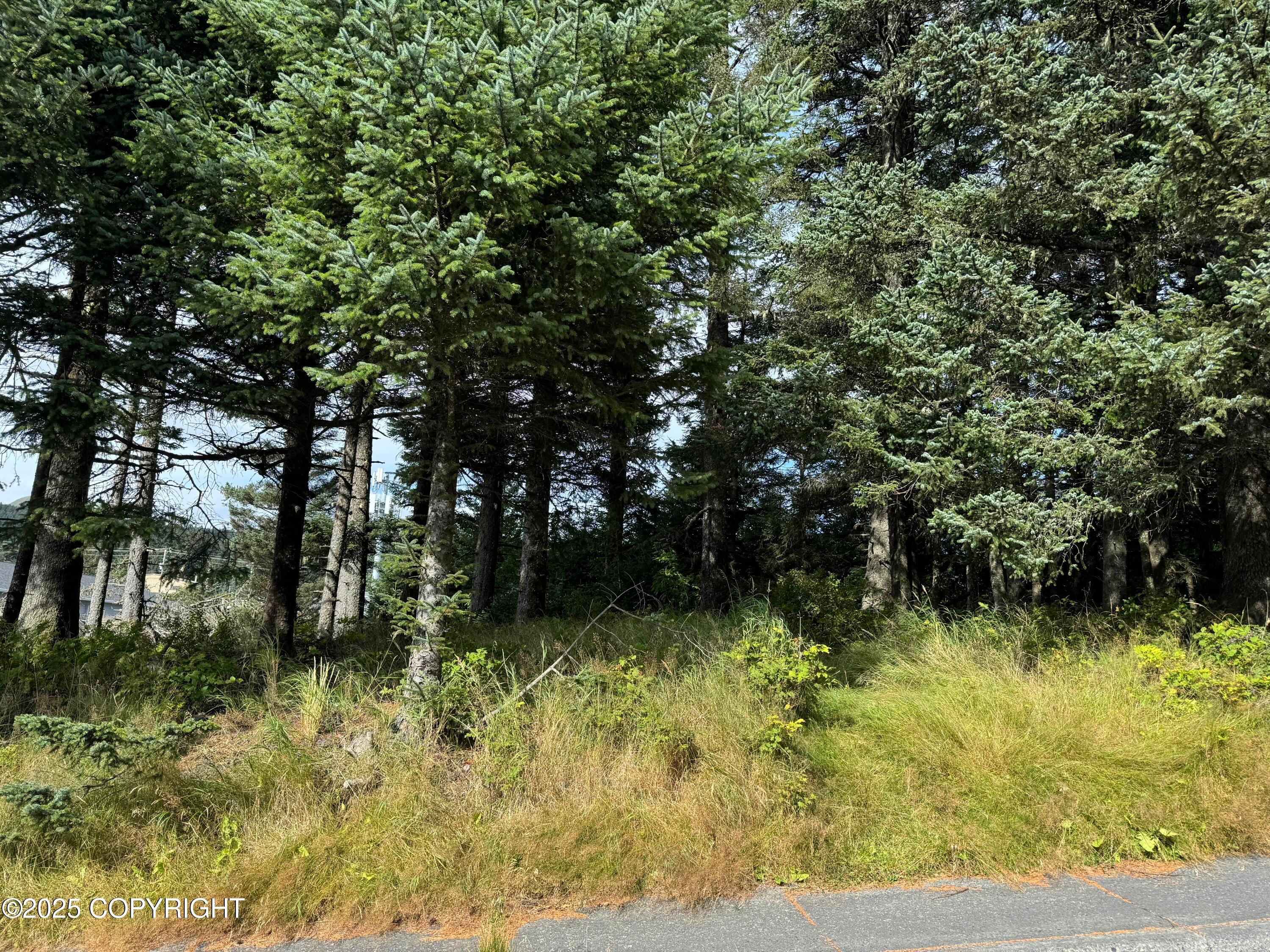 1815 Chichenof Street, Kodiak AK 99615