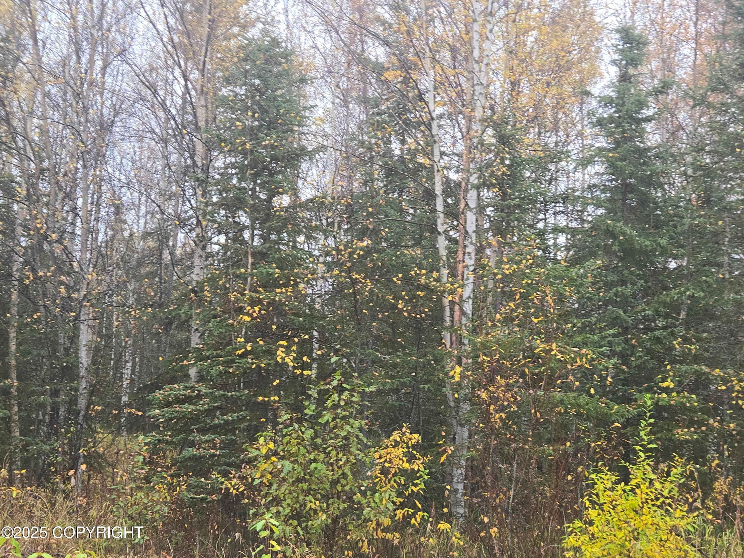 L1 B1 Brenden Boulevard, Copper Center AK 99573