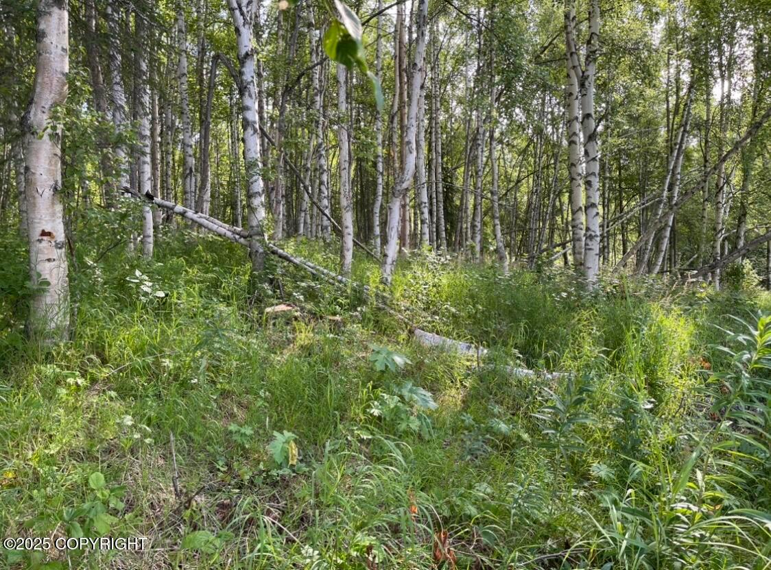L3 Eight Mile, Skwentna AK 99667