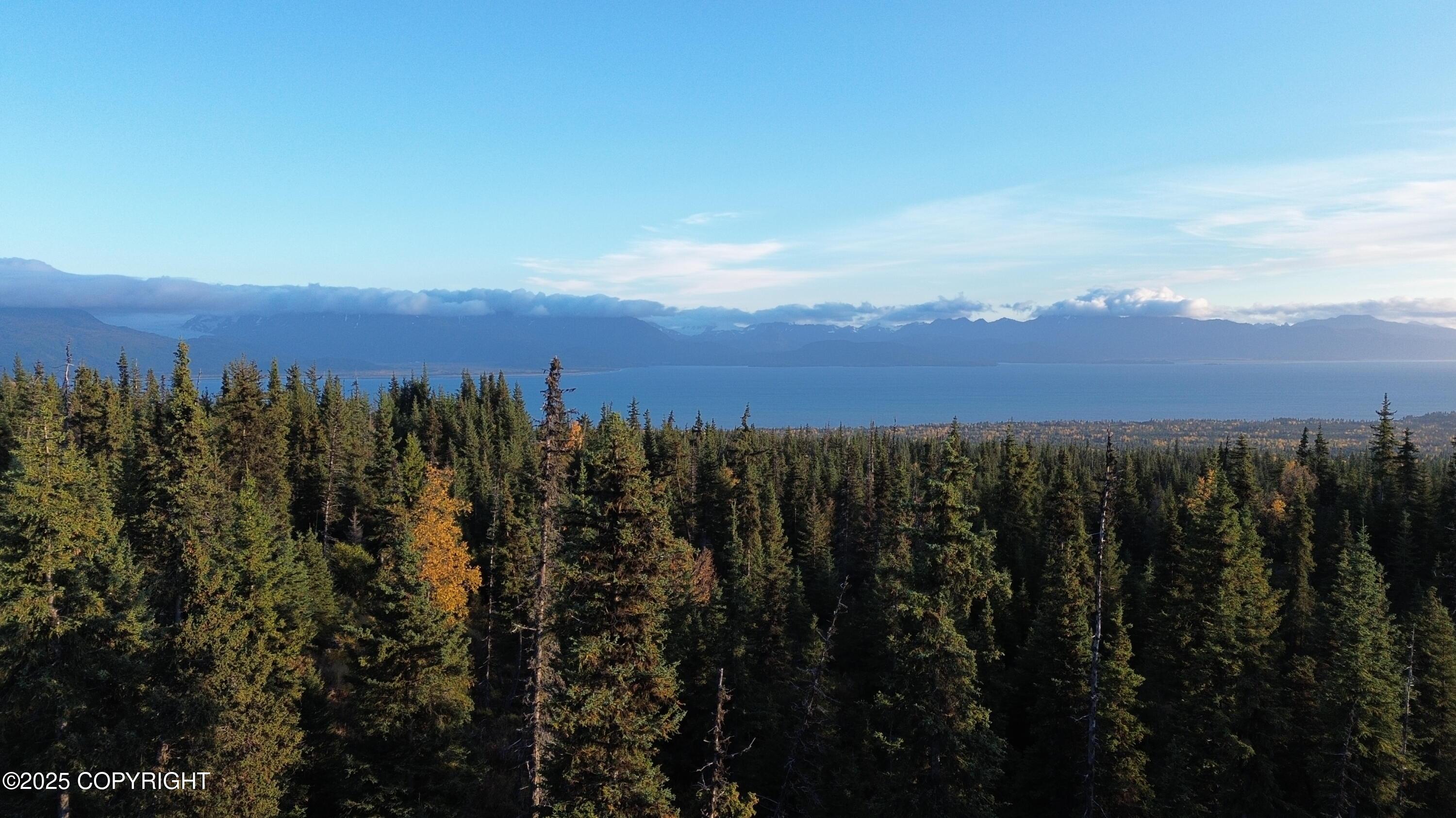 54533 Winchester Avenue, Homer AK 99603
