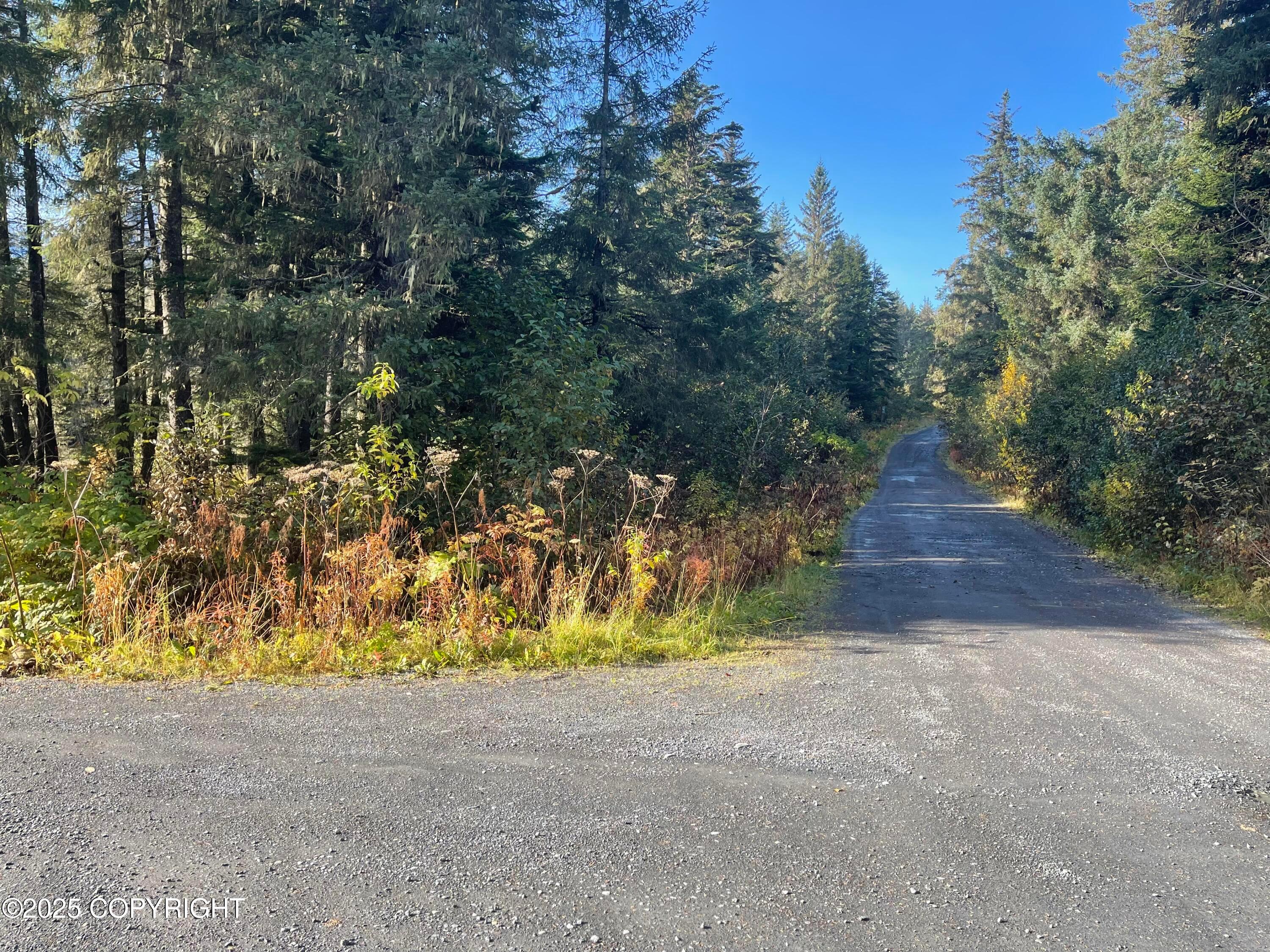 L5A-3 Maximilian Drive, Seward AK 99664