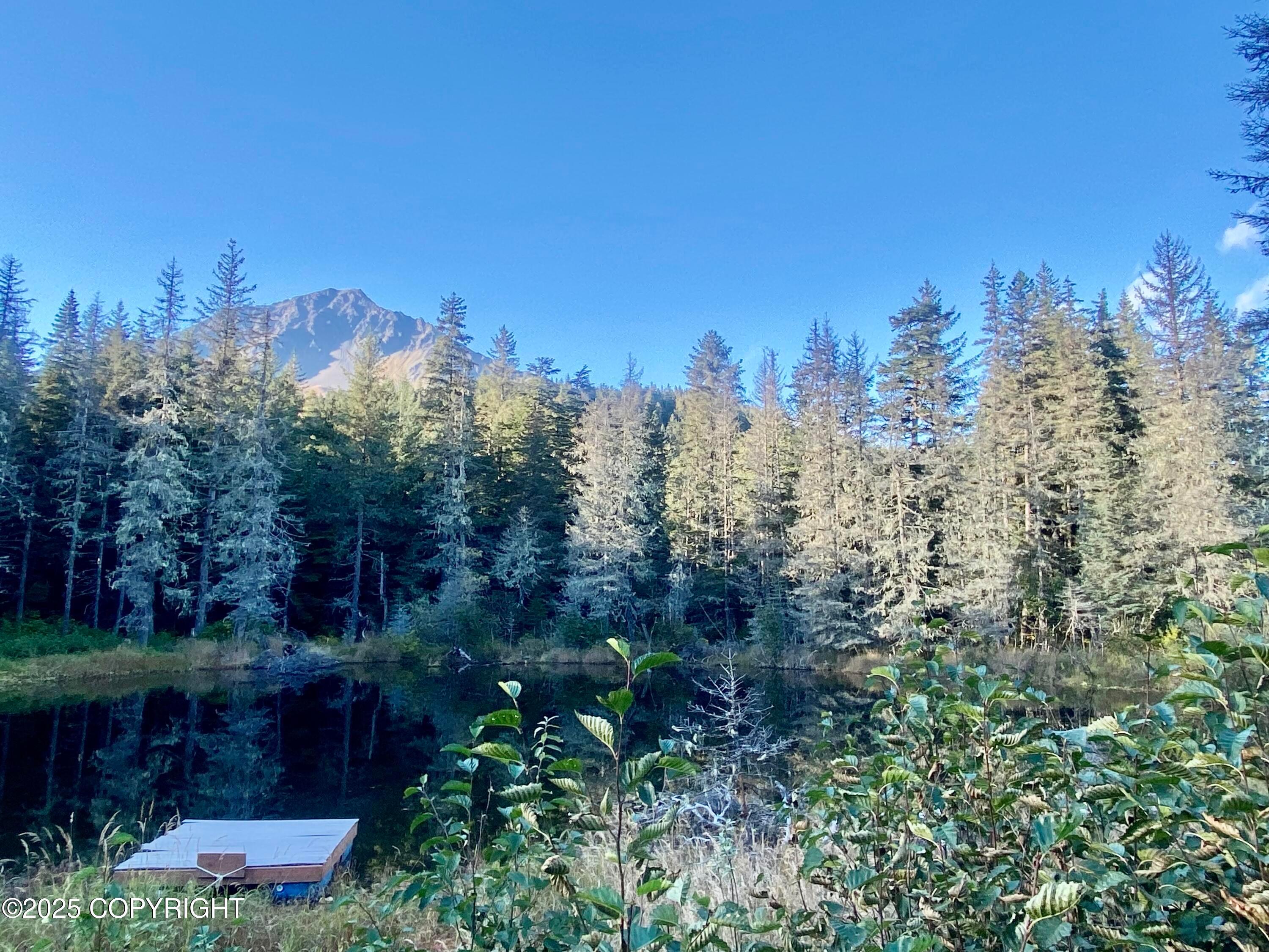 31940 Maxwell Court, Seward AK 99664