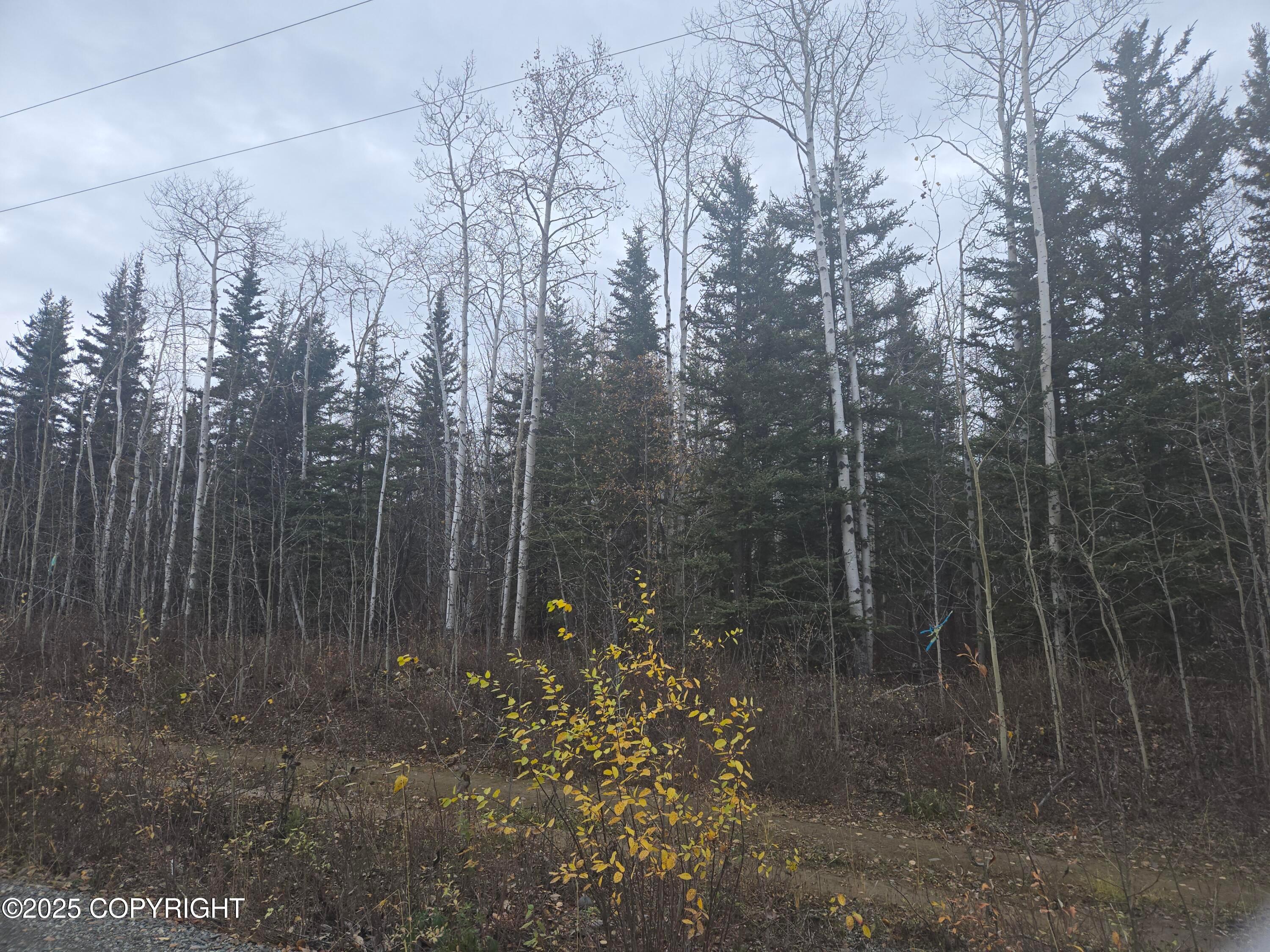 L3 B1 Brenden Boulevard, Copper Center AK 99573
