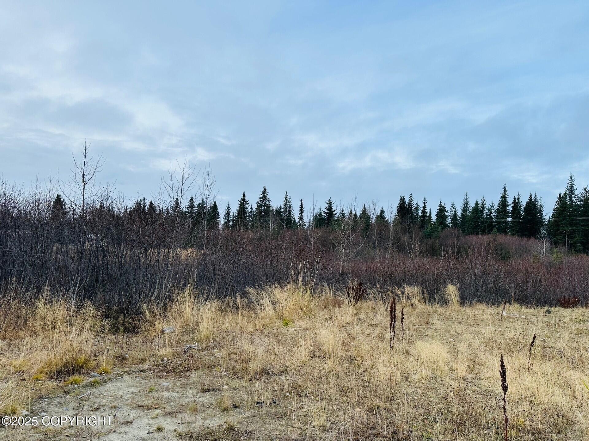 34191 Chapman Street, Anchor Point AK 99556