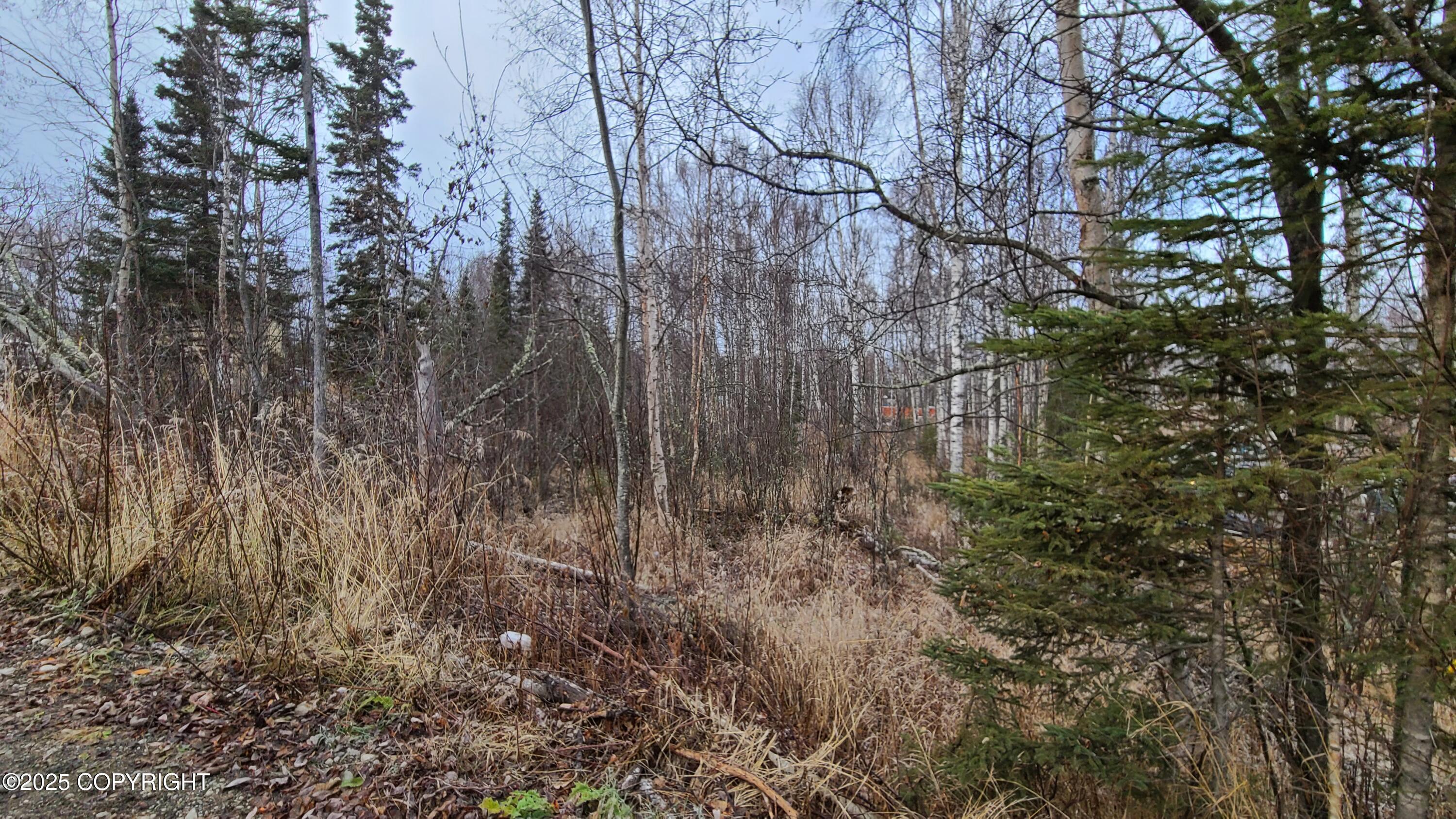 9111 W Sammie Circle, Wasilla AK 99623