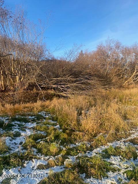L19 Shelby Kay Street, Homer AK 99603