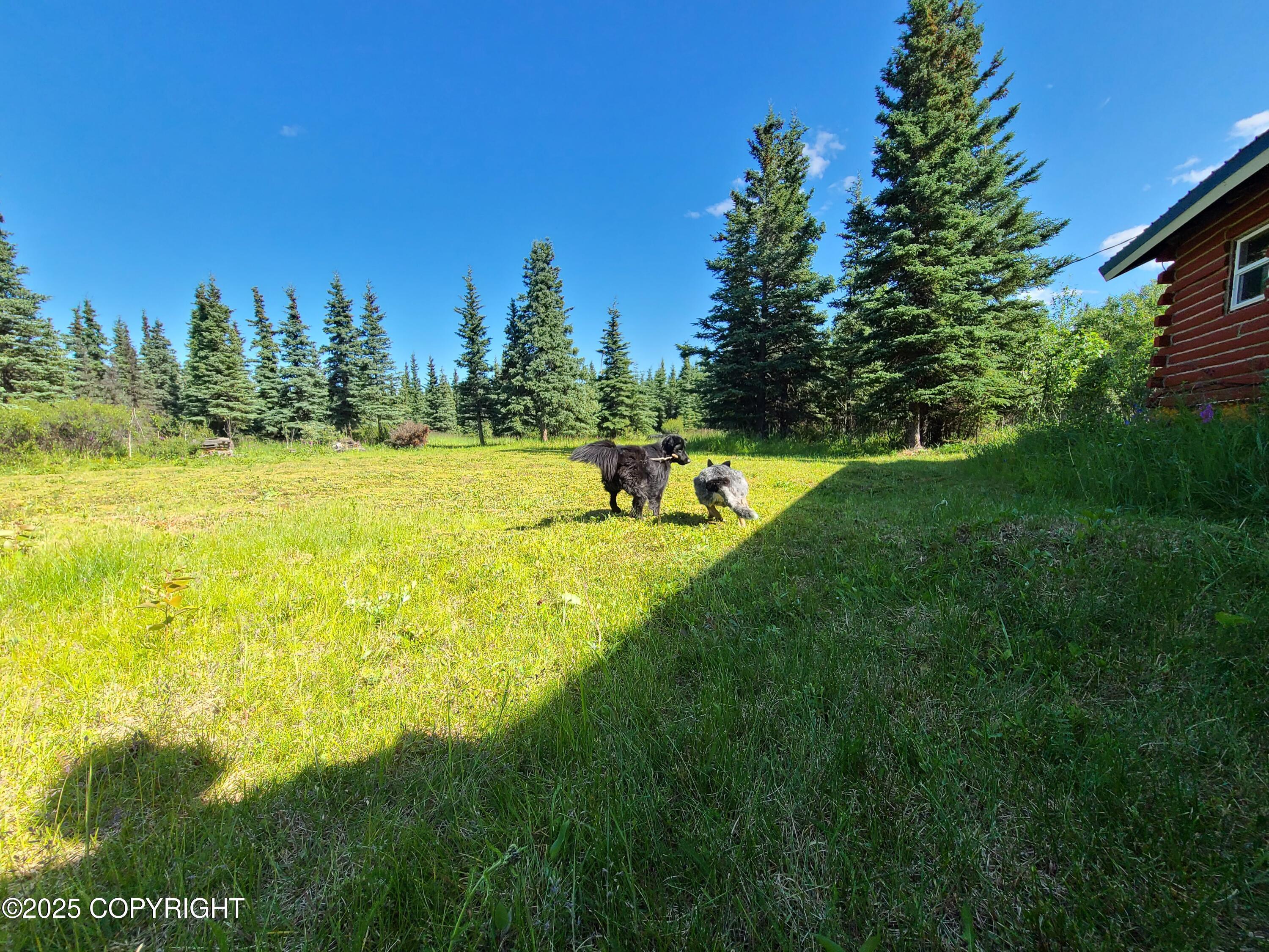 L11 B3 Tri Valley, Healy AK 99743