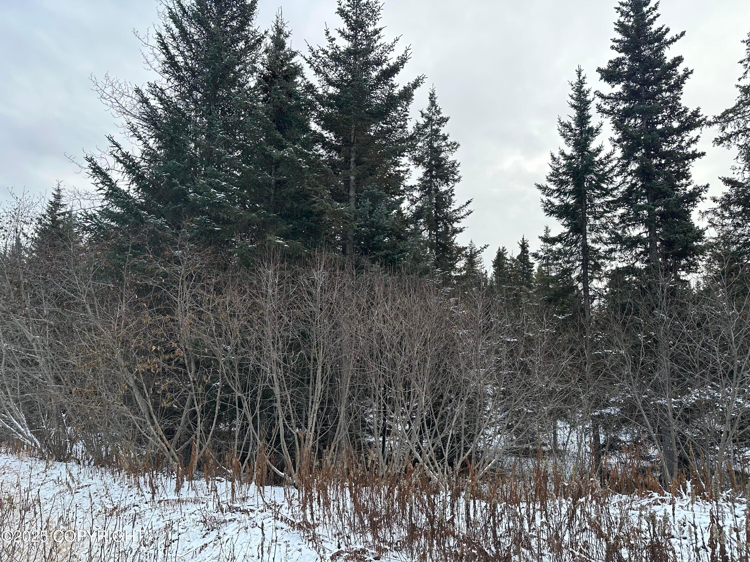 000 Old Sterling Highway, Anchor Point AK 99556