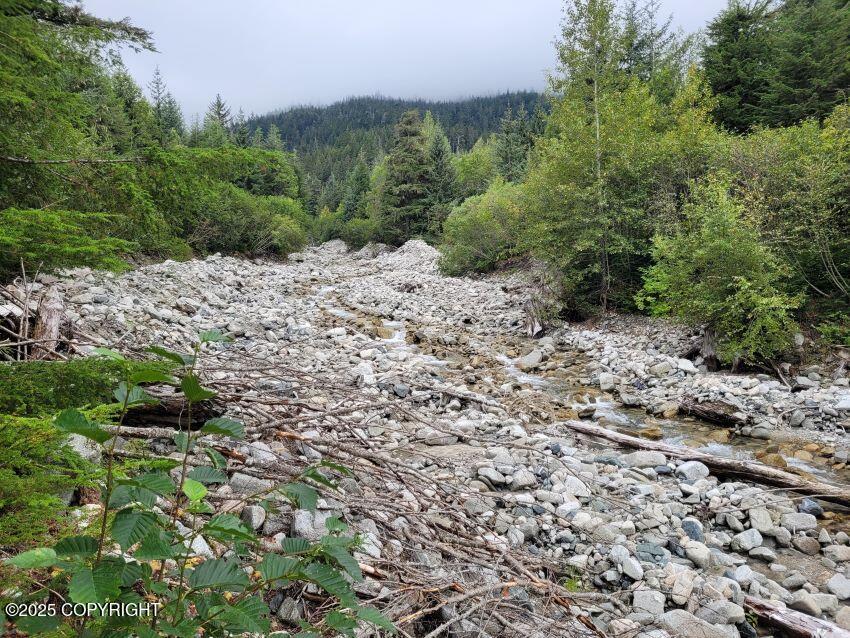 L3 Lutak Road, Haines AK 99827