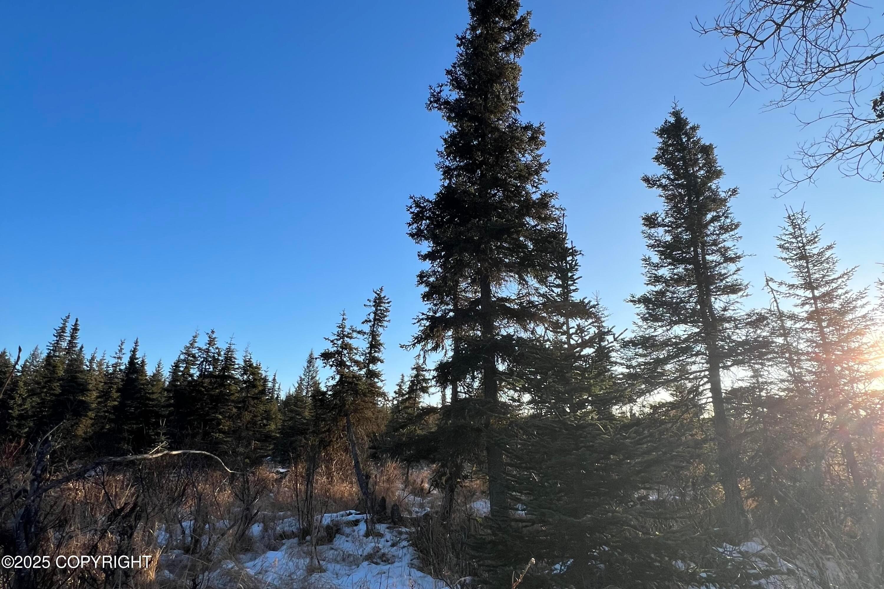 34725 N Fork Road, Anchor Point AK 99556