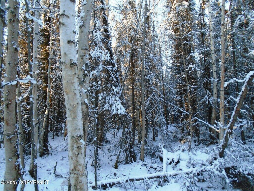 6703 S Lark Circle, Wasilla AK 99623